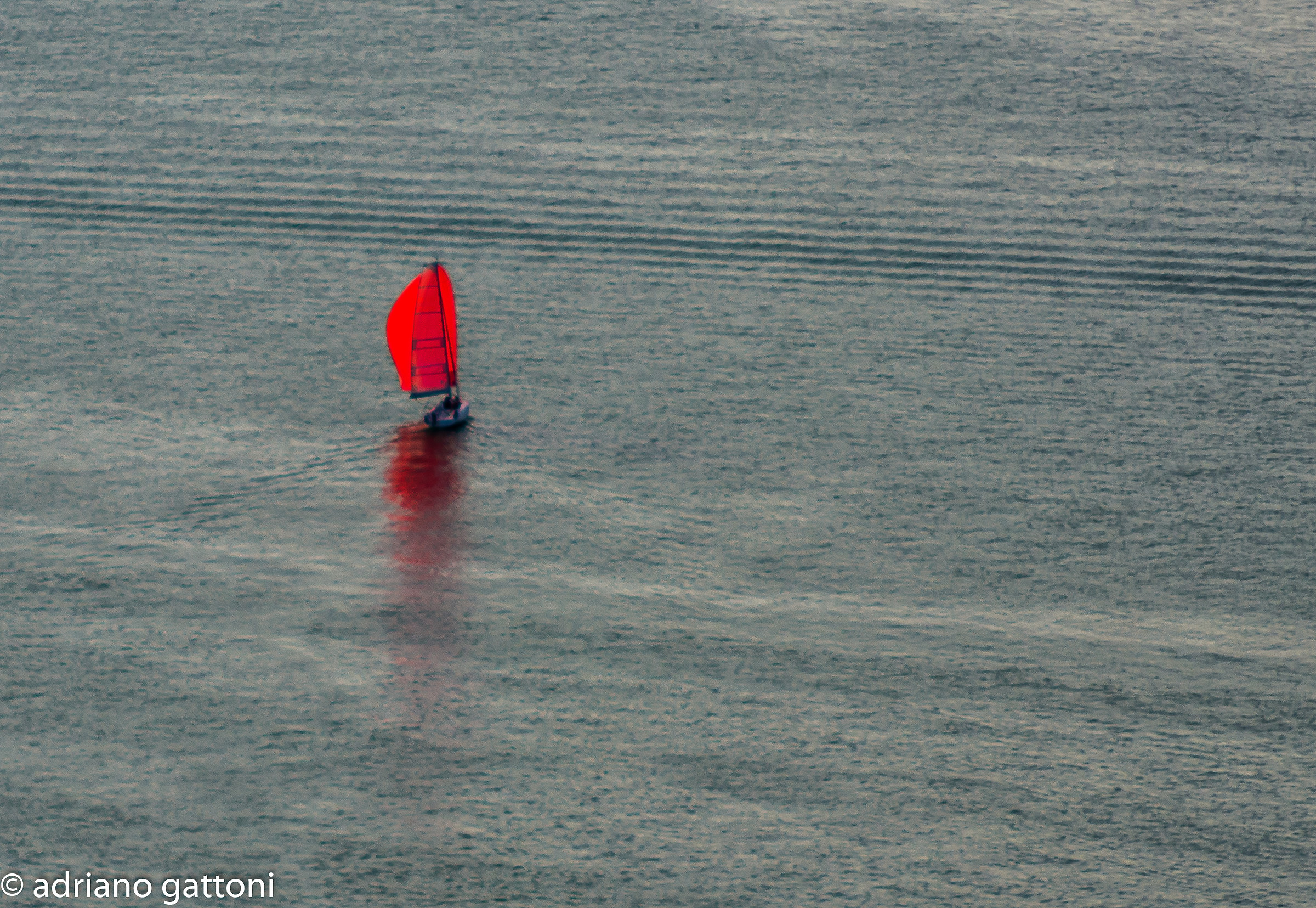 Un petalo rosso galleggia nell'acqua