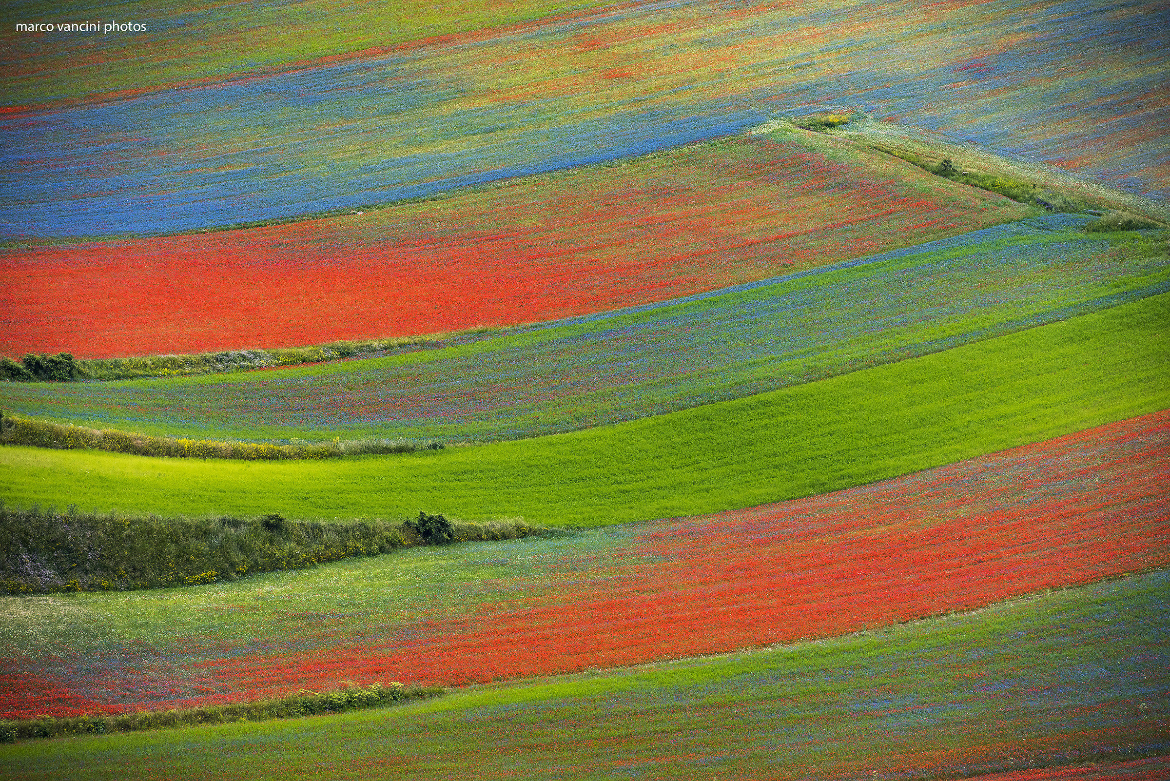Abstract from Castelluccio