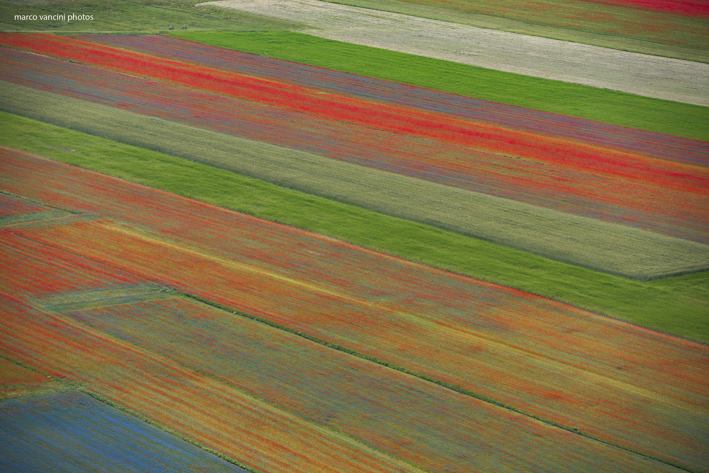 abstract as a picture