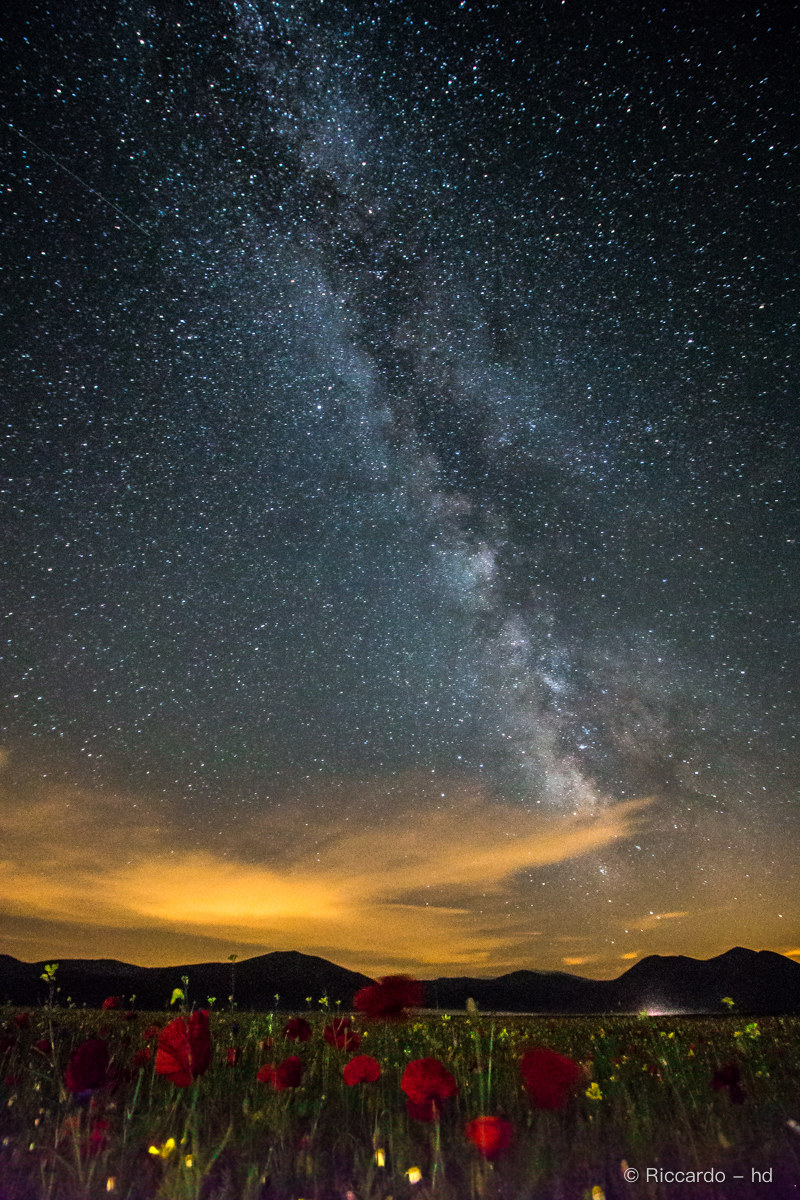 castelluccio di norcia