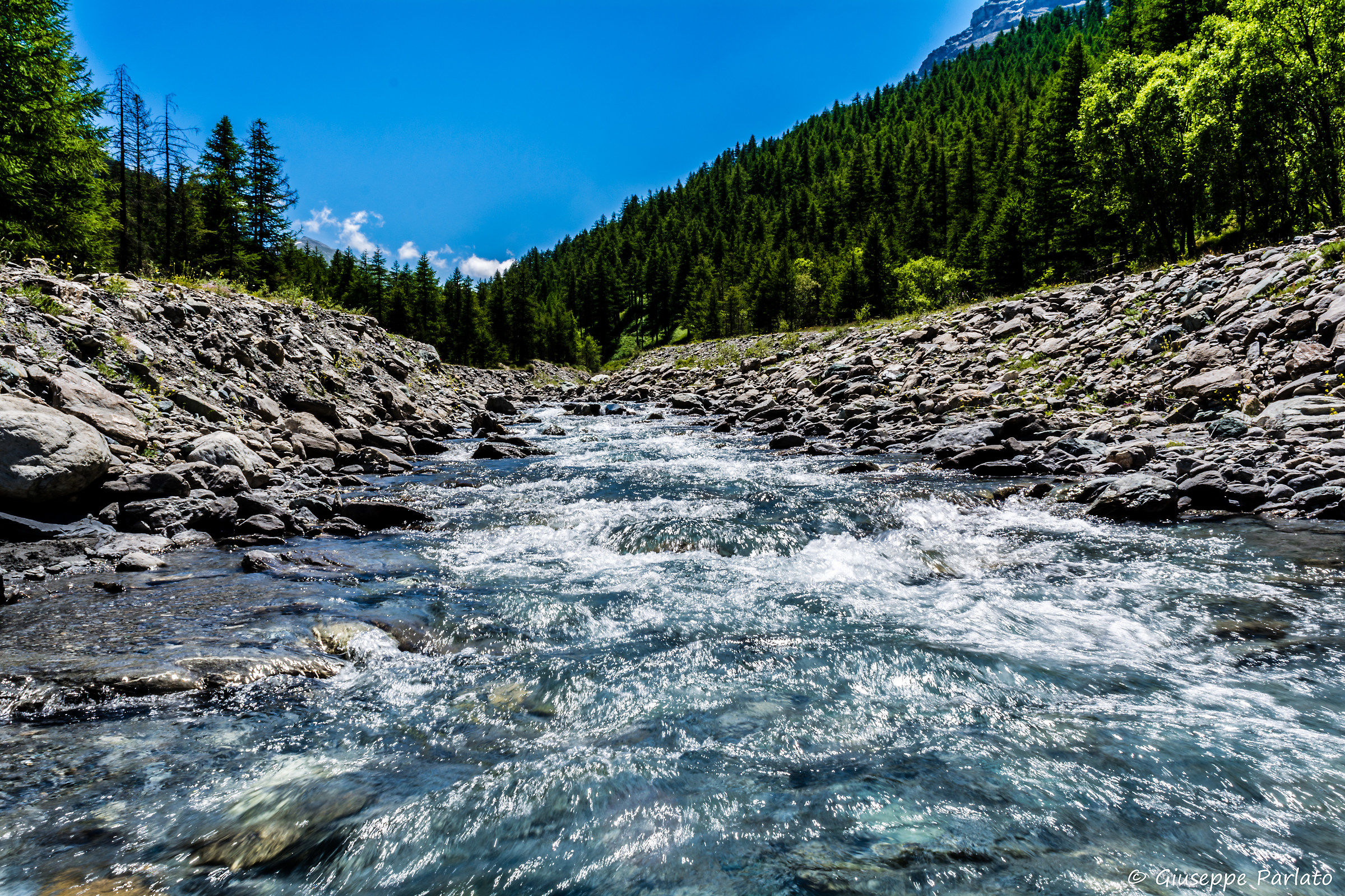 Torrente Chisone (Valtroncea)