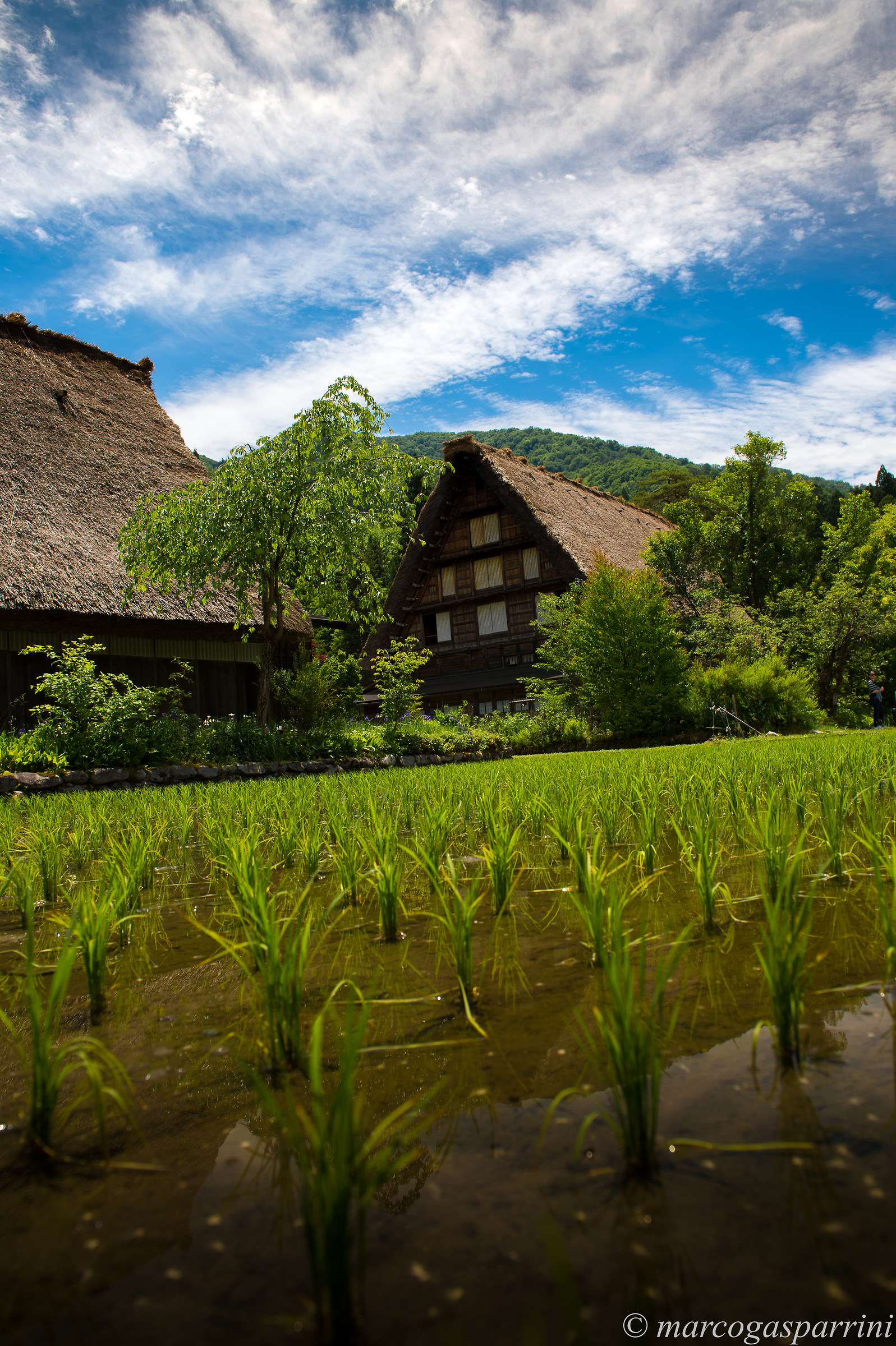 Shirakawago