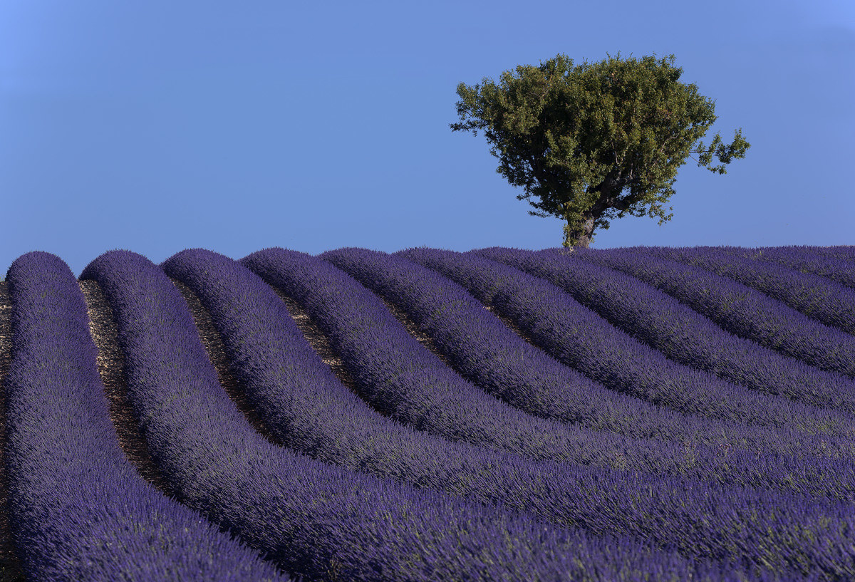 Provence