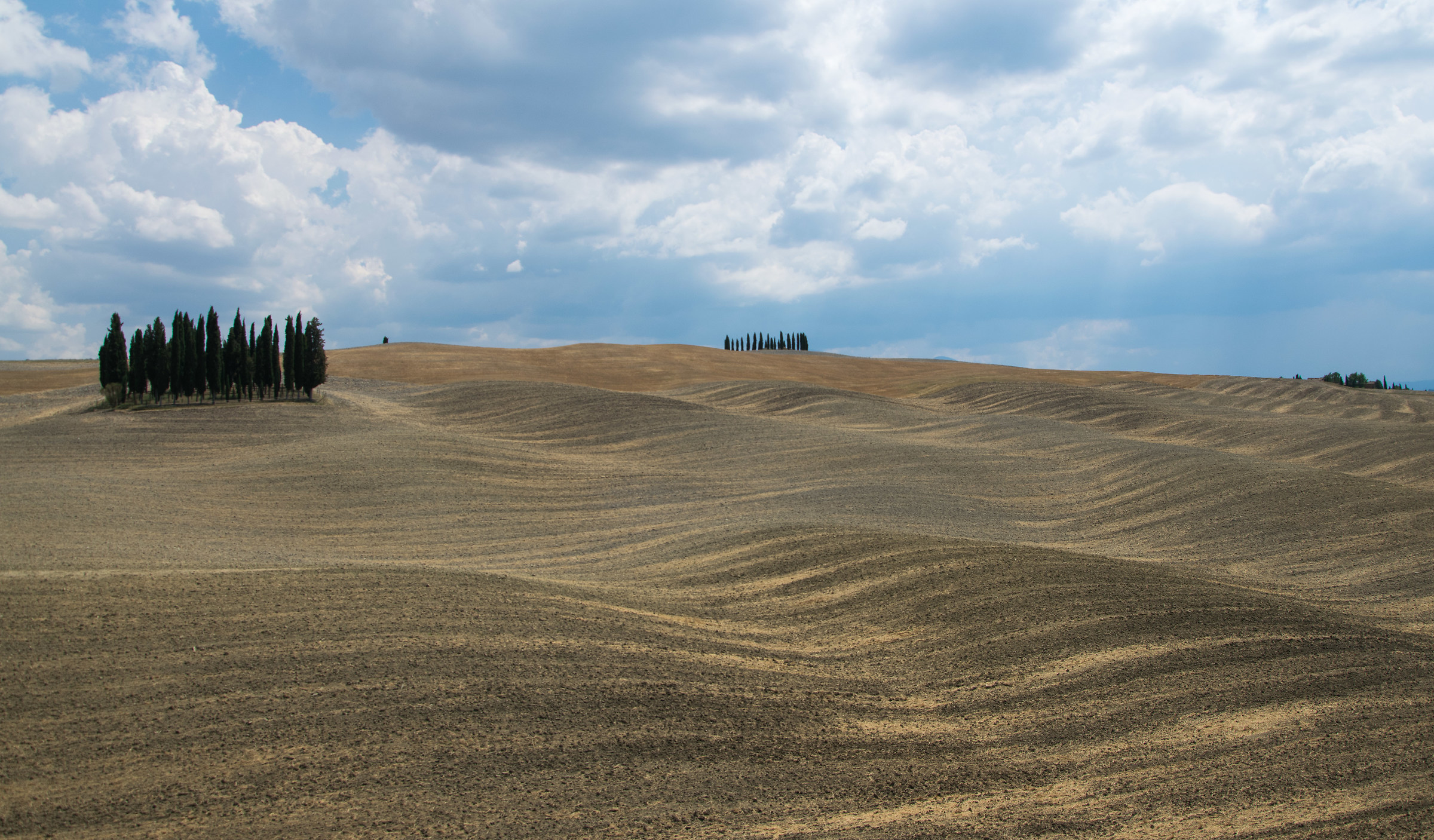 The Cipressini the waves (Val d 'Orcia)