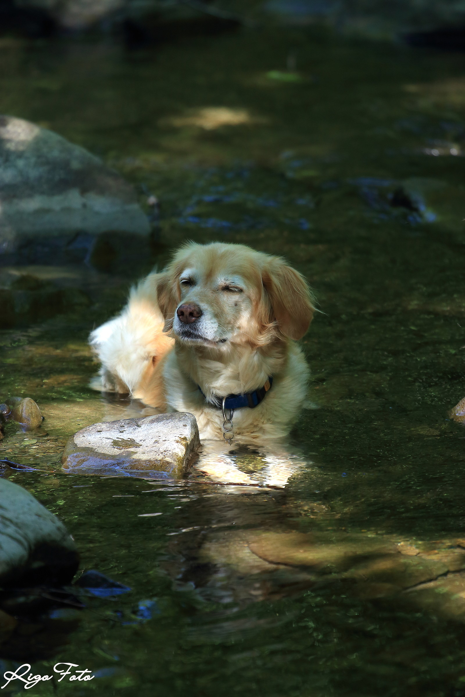 Aaaaaahhhhh, finally a bit 'cool!