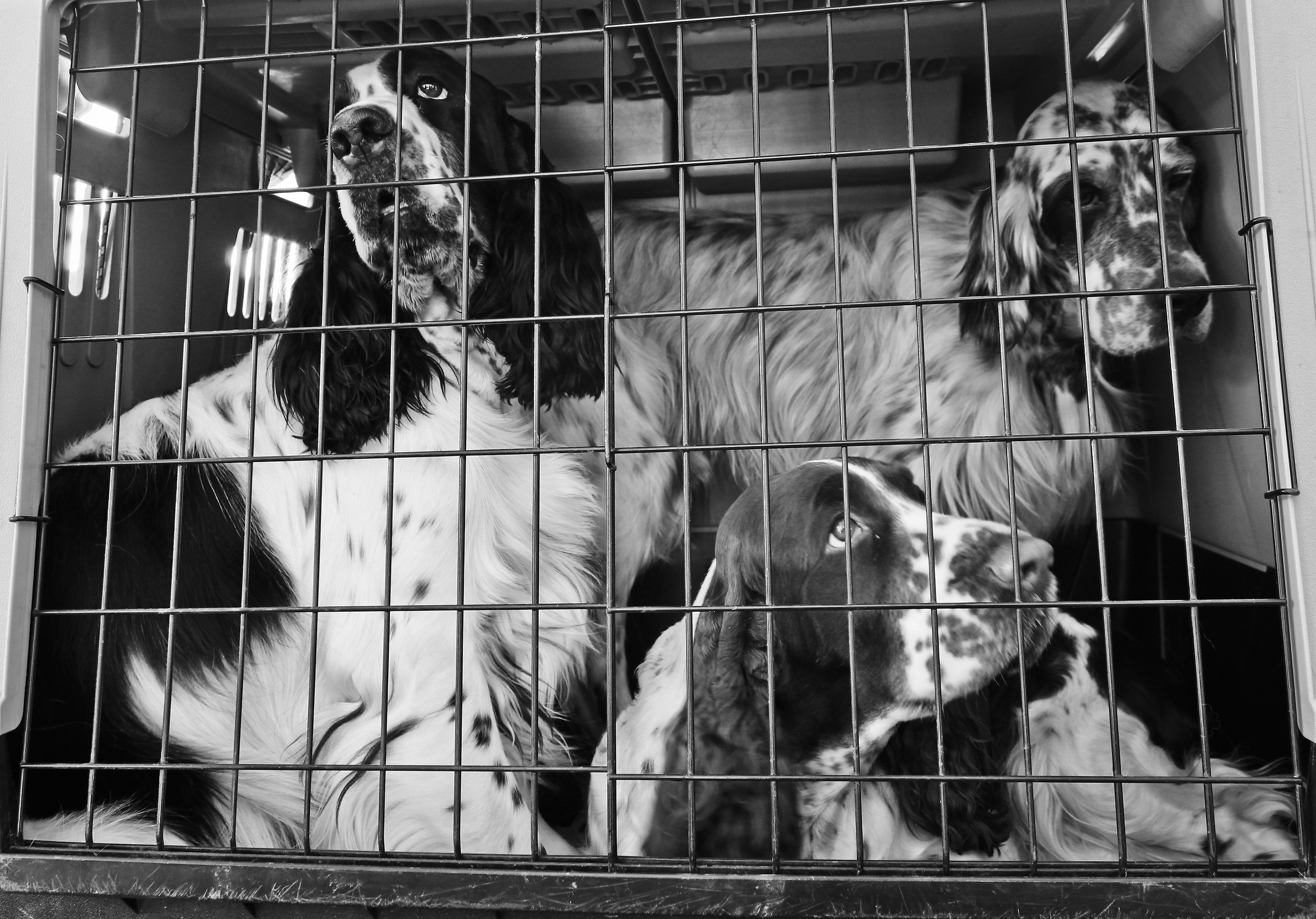 Before the exhibition ..