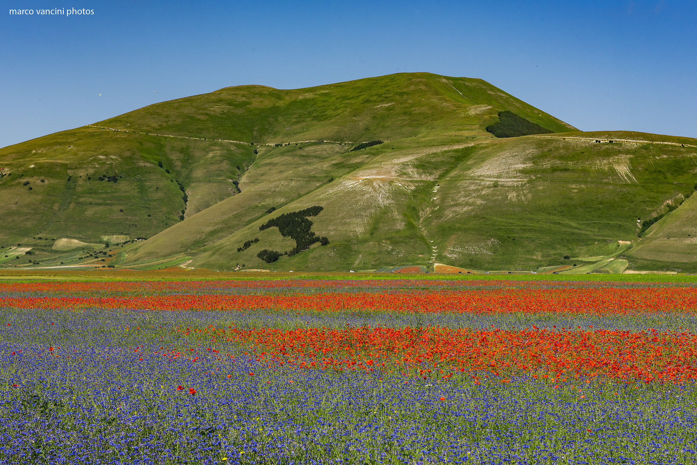 L'Italia attraverso Castelluccio