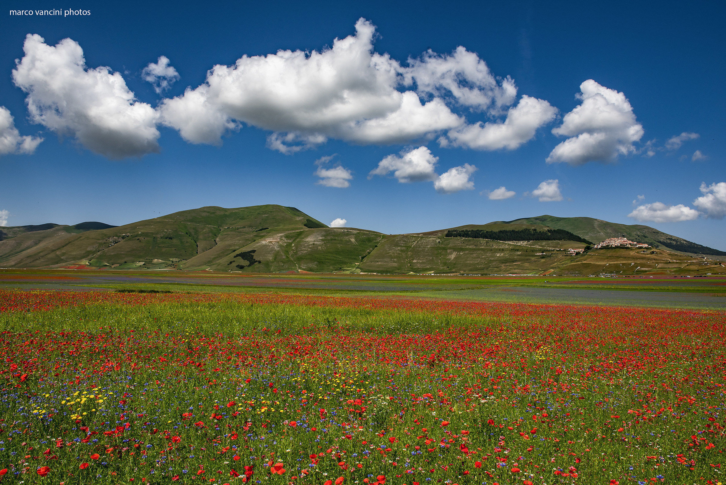 Semplicemente Castelluccio
