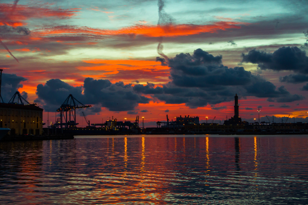 ancient to the ancient port red