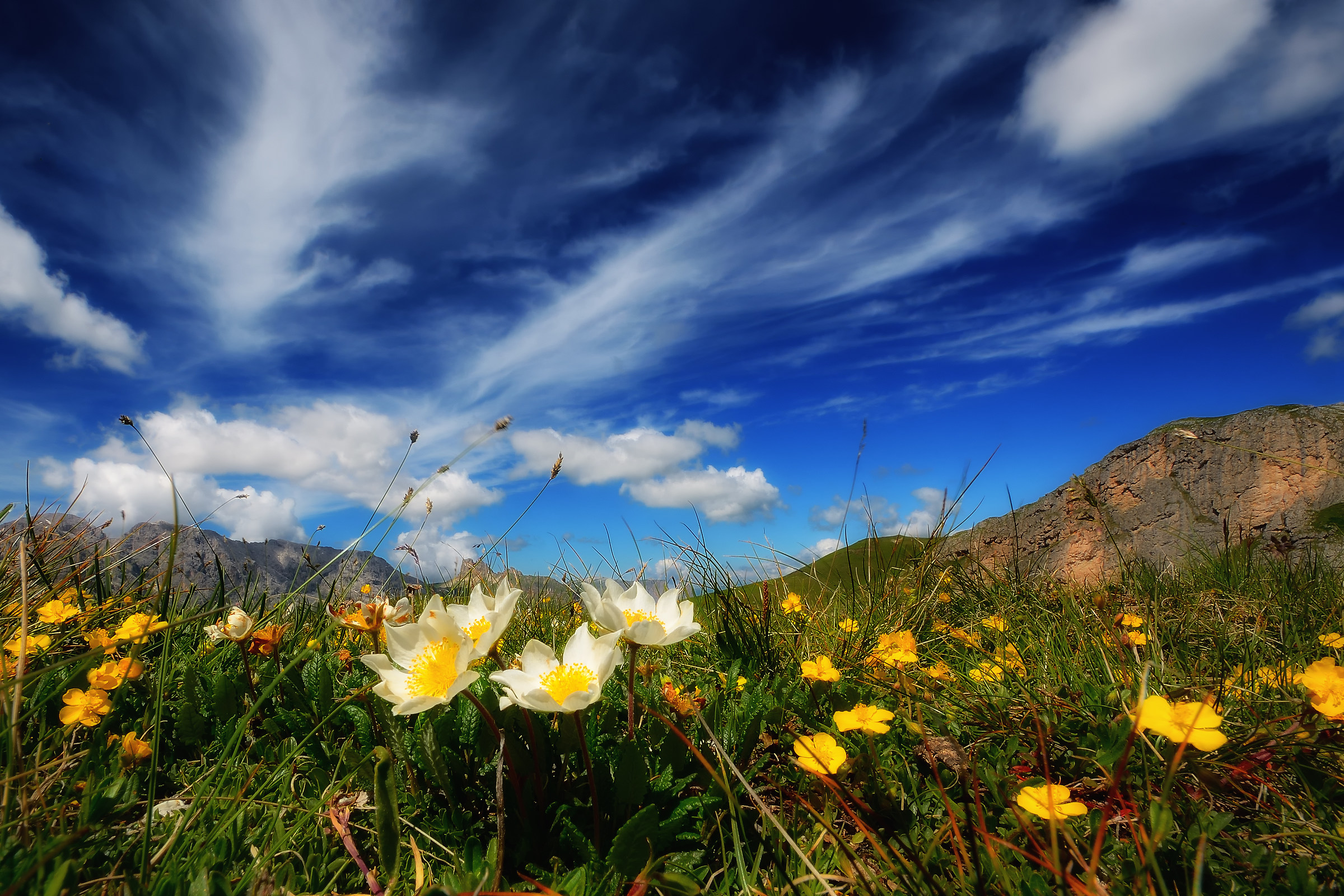 Between clouds and flowers