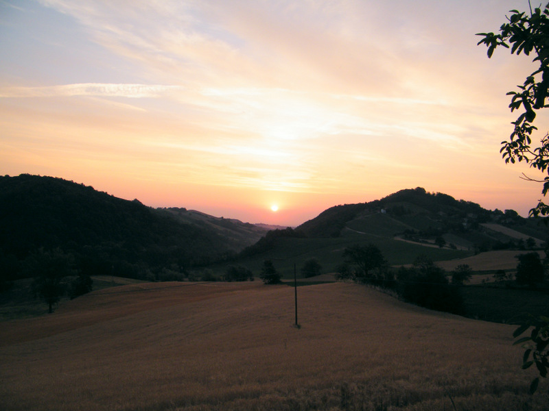 dawn hills fidenza hours: 0539 no retouching