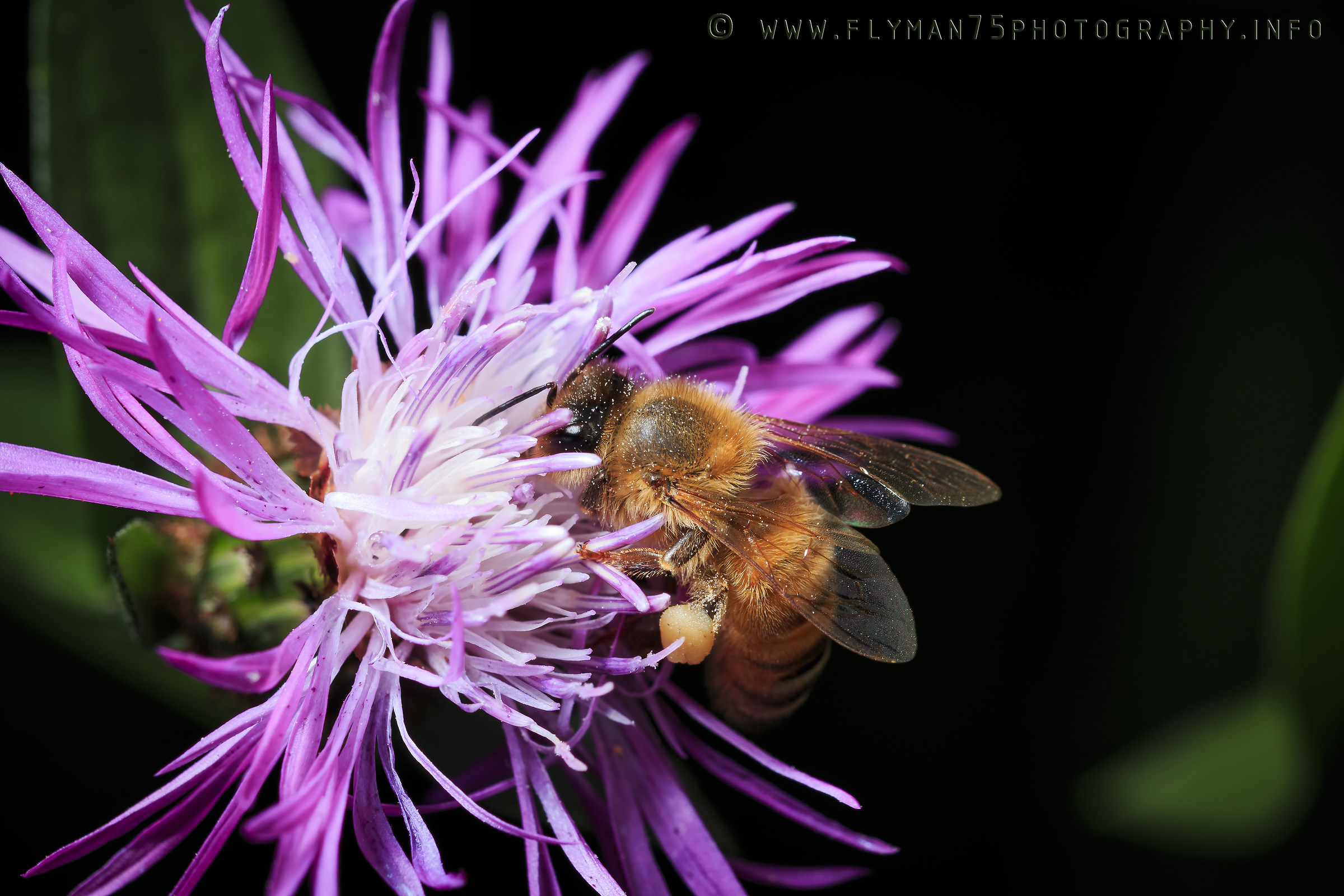 yum yum ... good porridge!