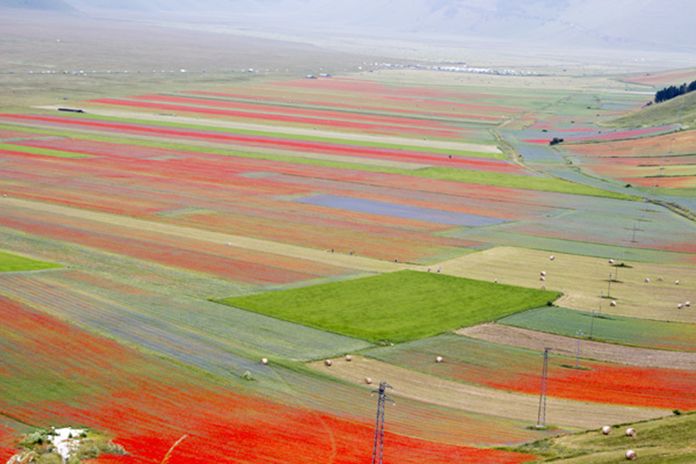 large flat Castelluccio