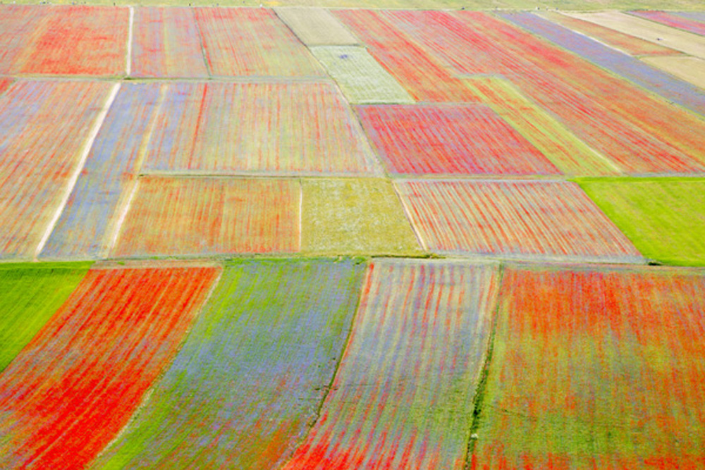 Castelluccio color palette 3