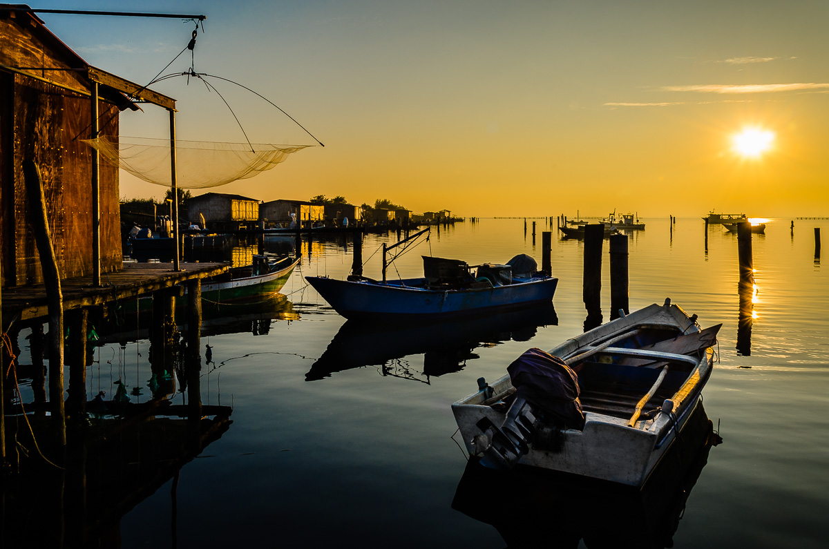 Sacca of Scardovari - Po Delta New version