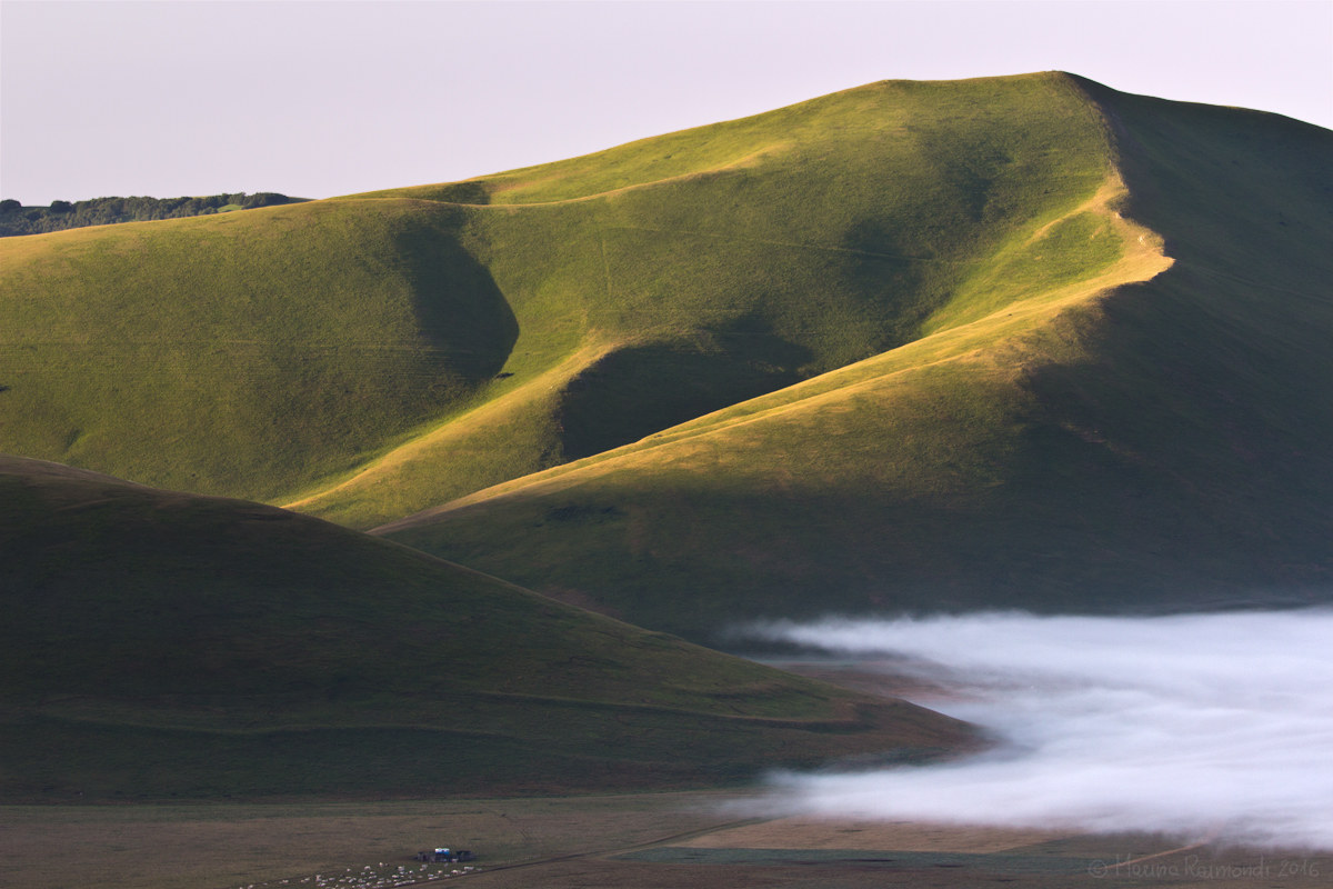 The Sleeping Giant Wakes