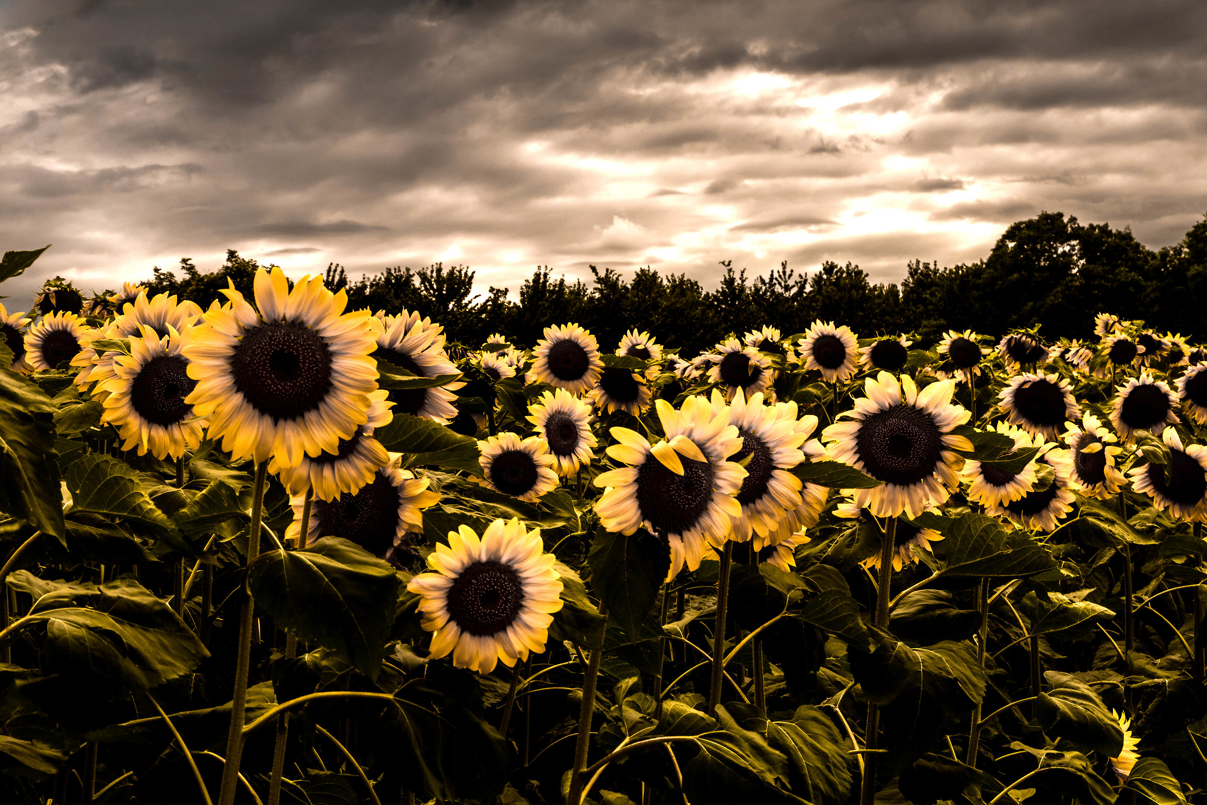 we are not satisfied ...