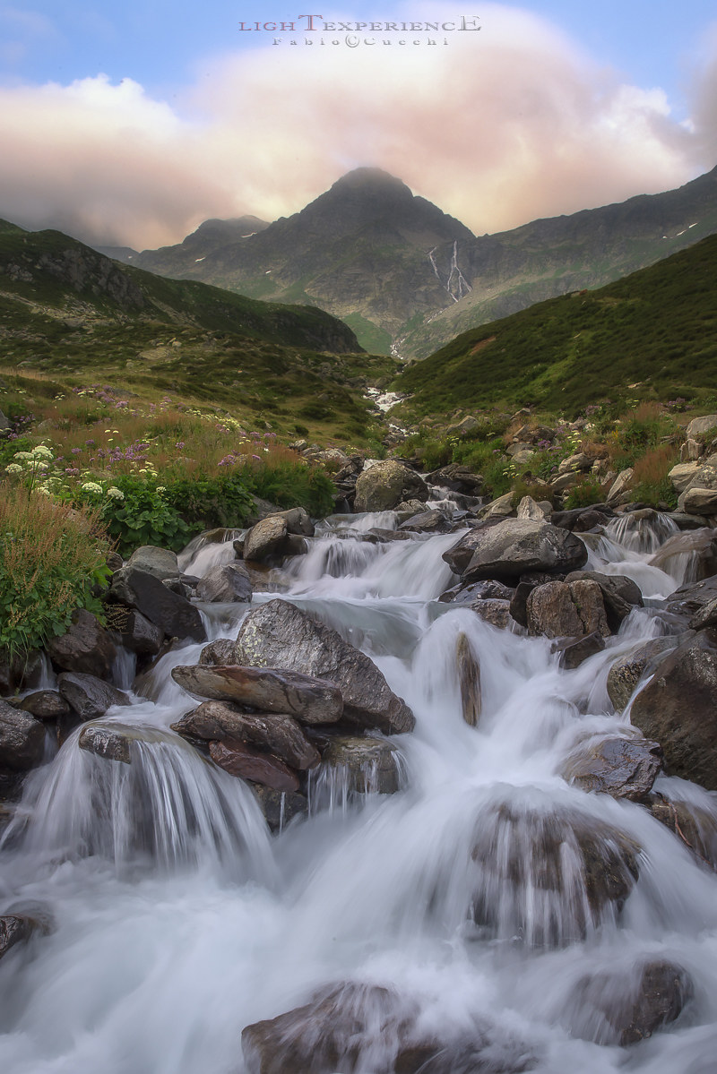 ai Piedi del Suretta