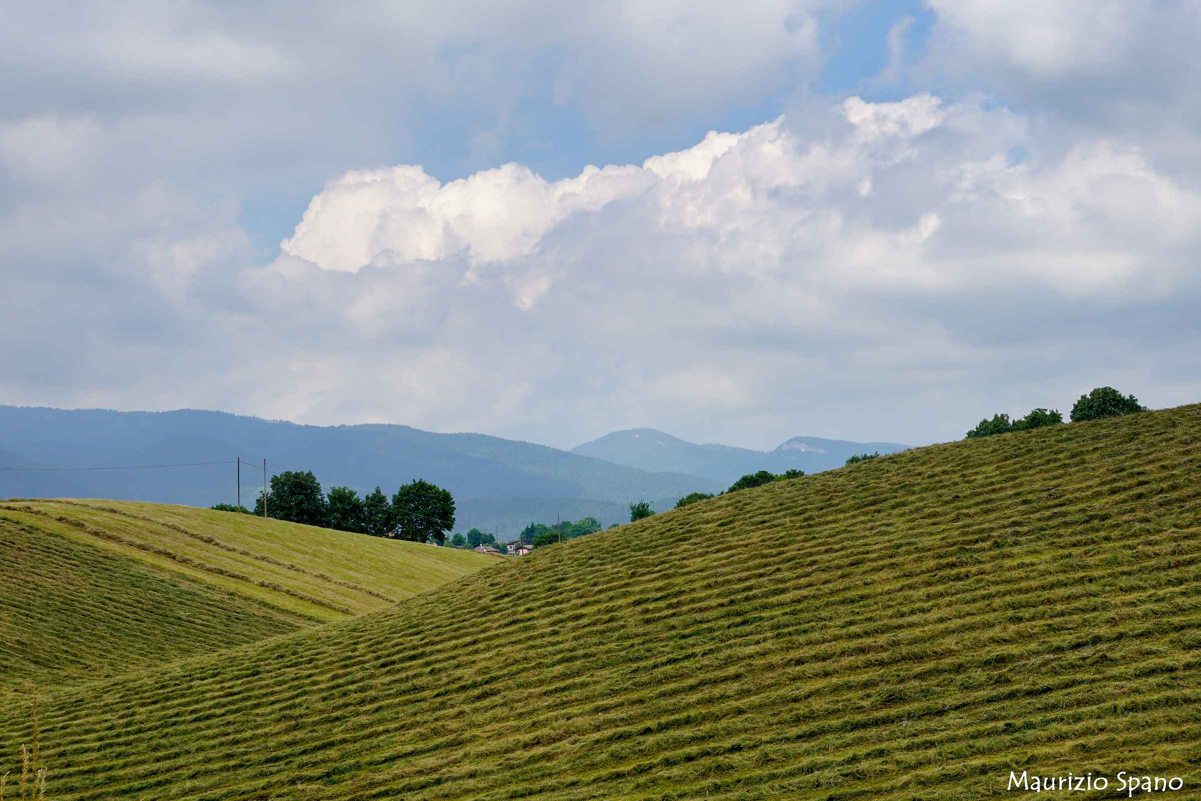 mowing grass on the plateau