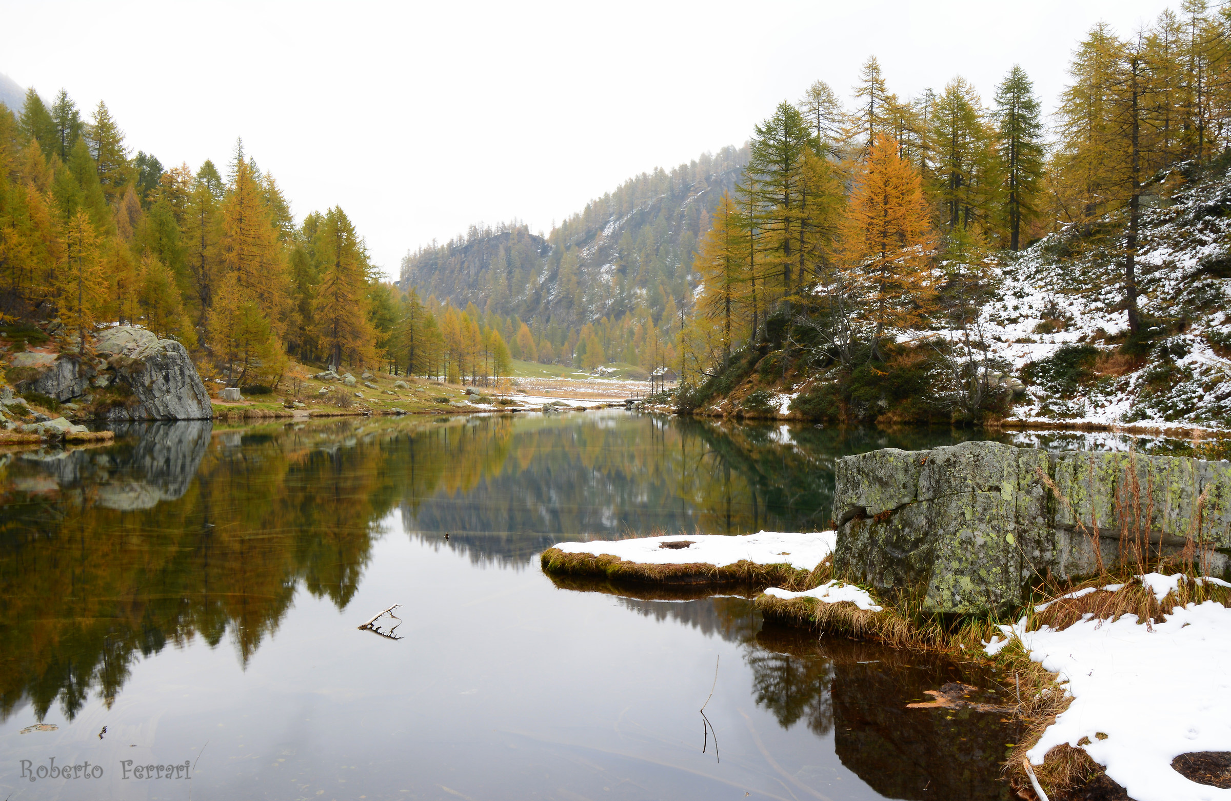 freedom for everyone!