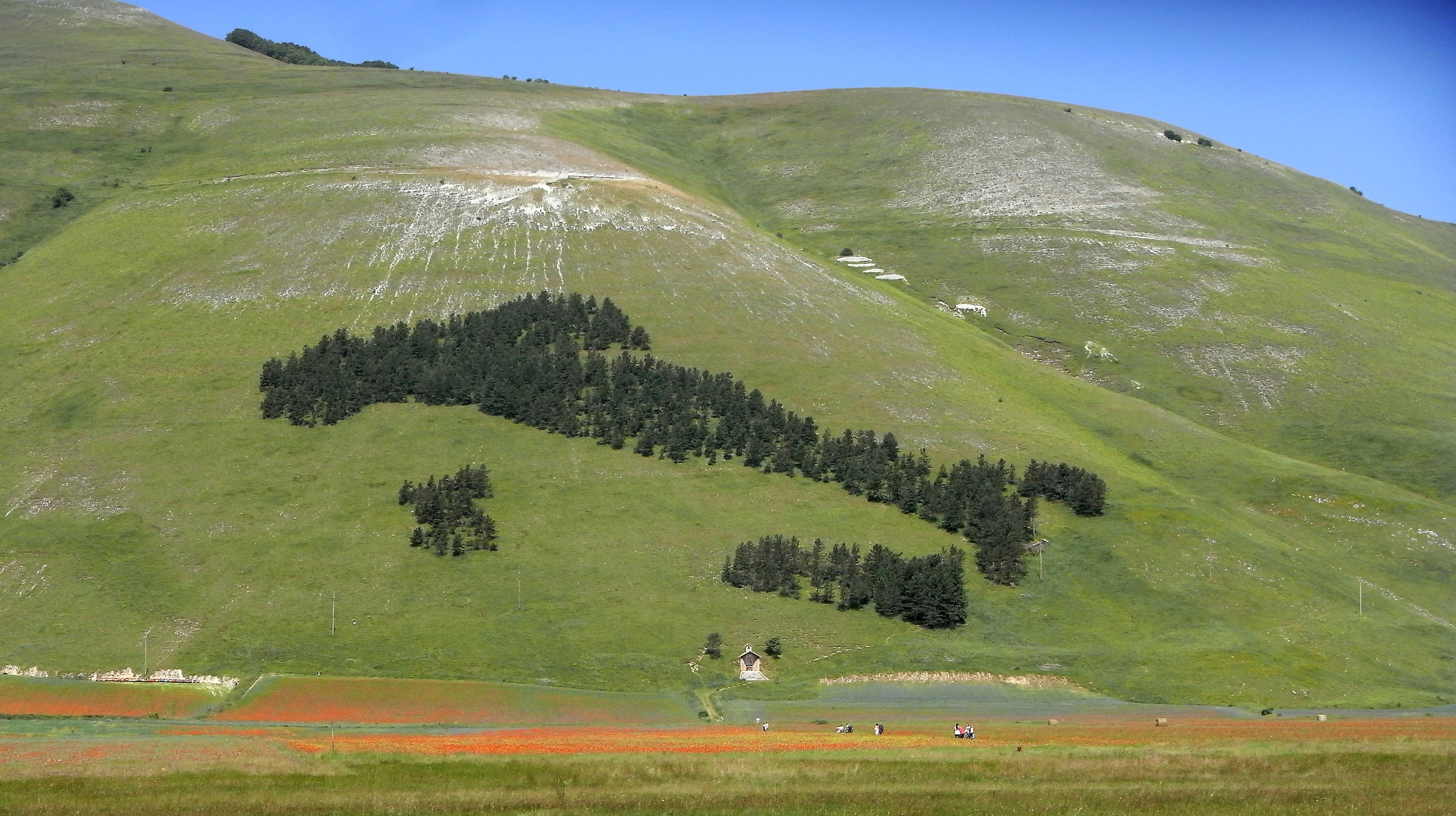 Castelluccio di Norcia Giugno 2016