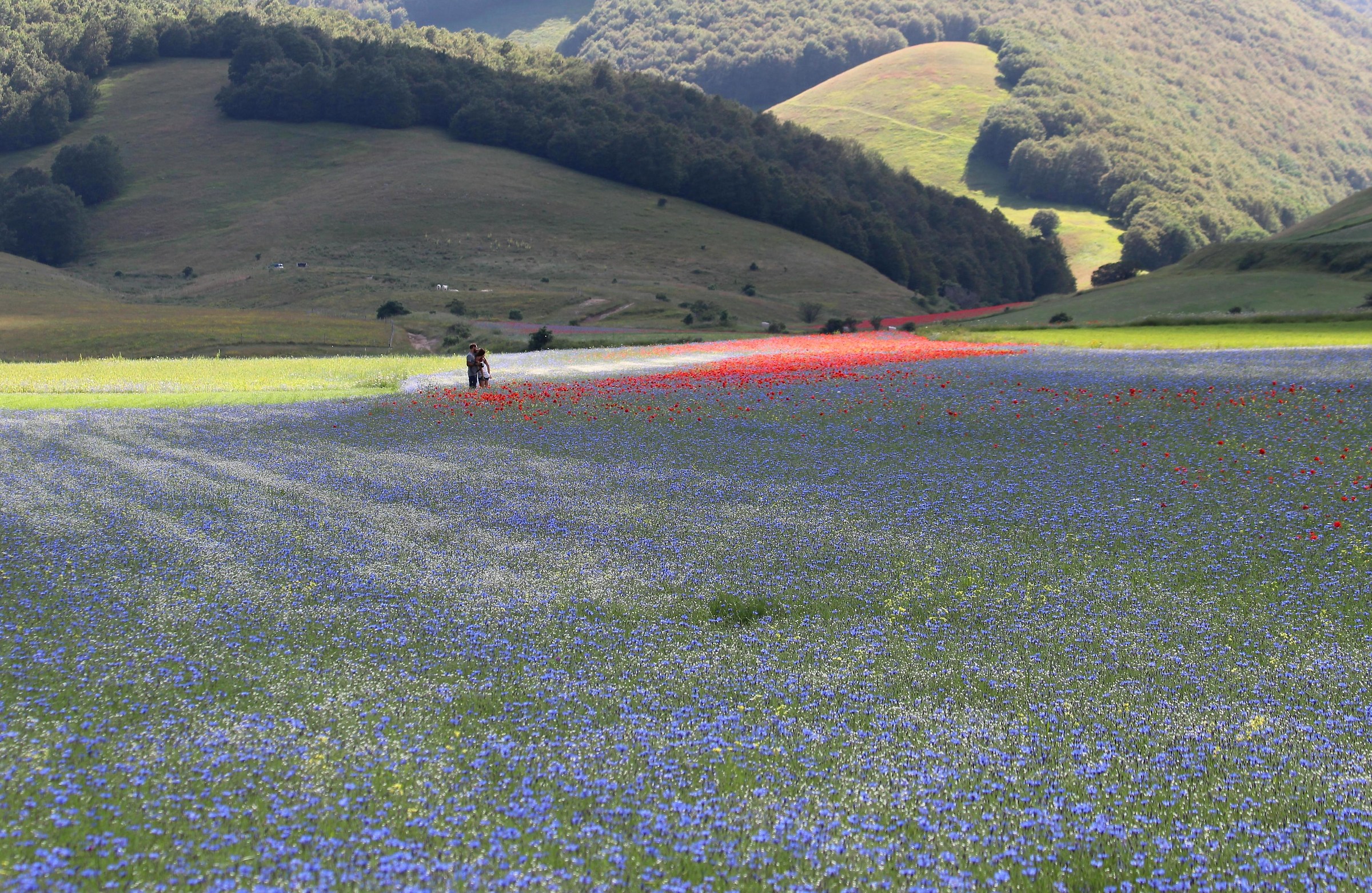 Red River ... coming.