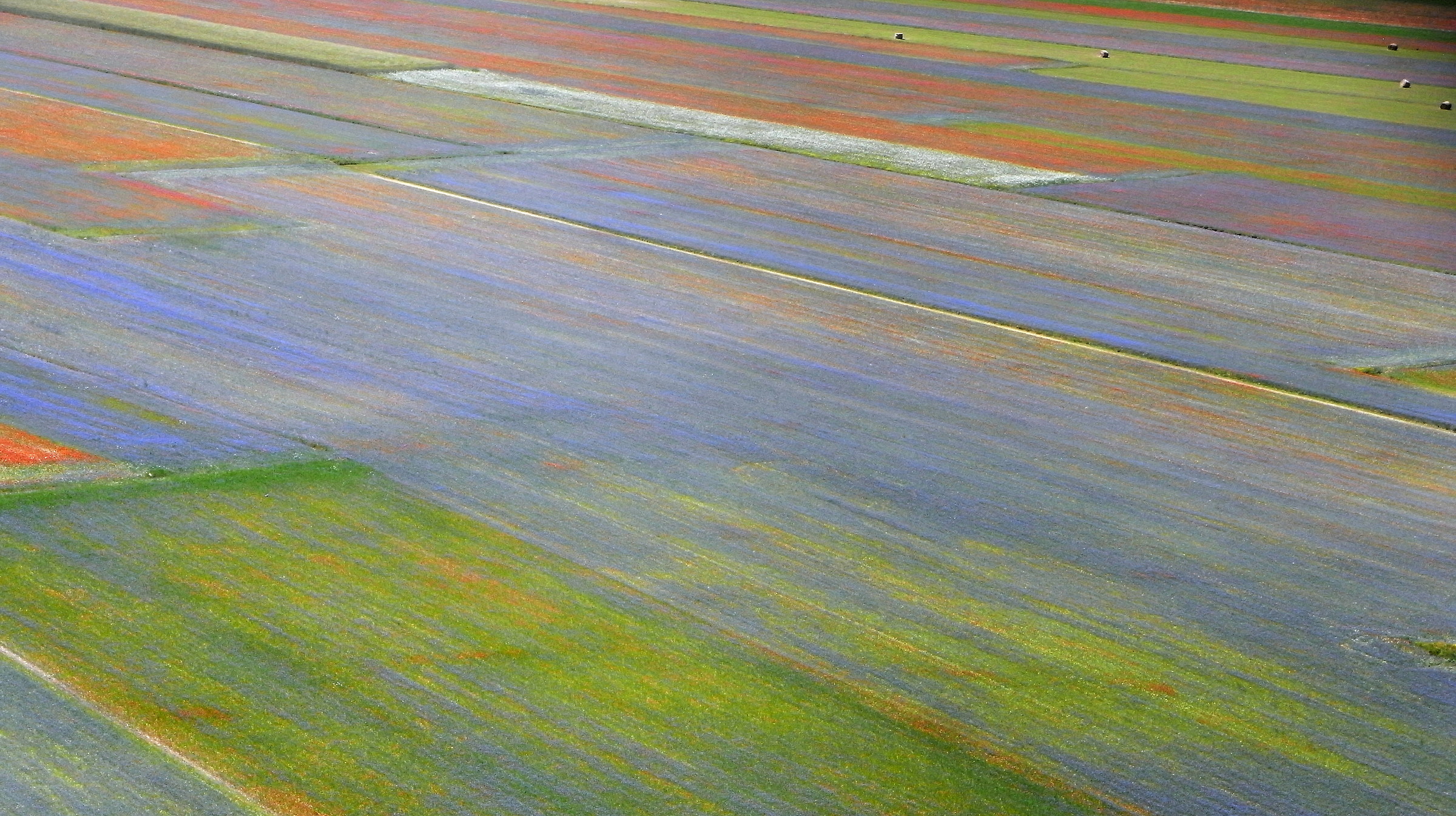 Castelluccio di Norcia Giugno 2016