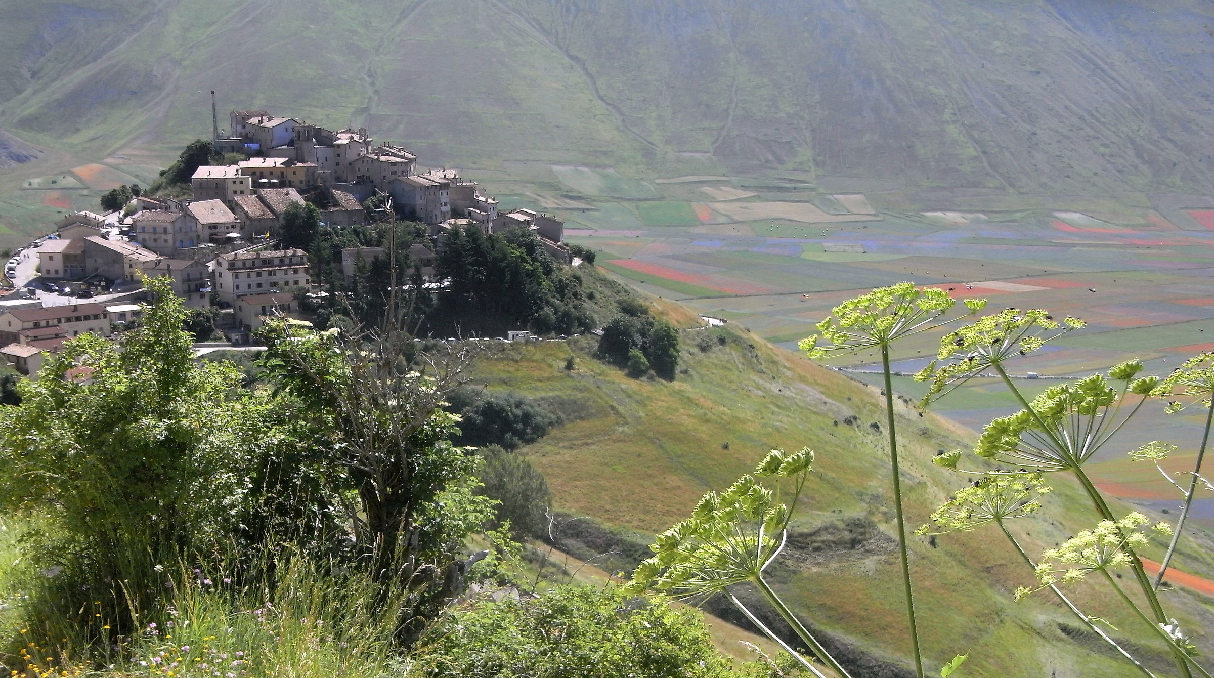 Castelluccio di Norcia Giugno 2016
