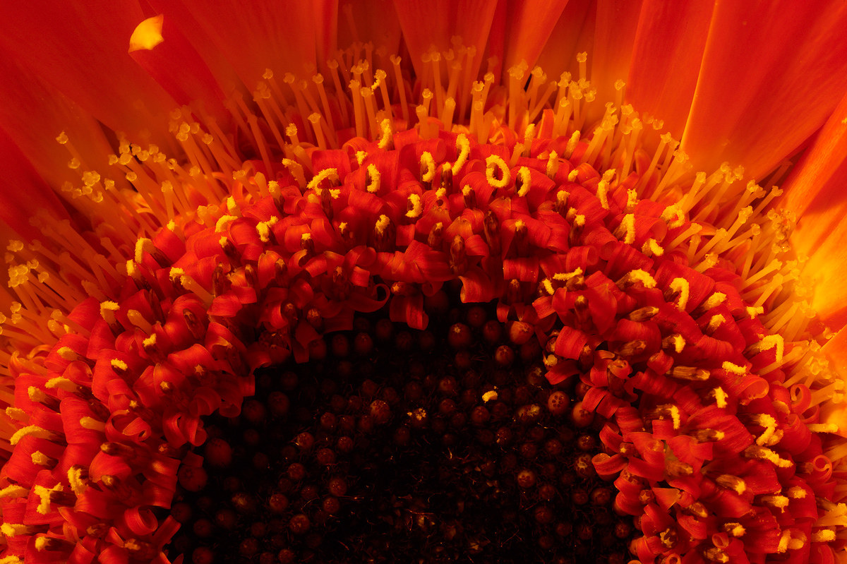 Uno sguardo da vicino