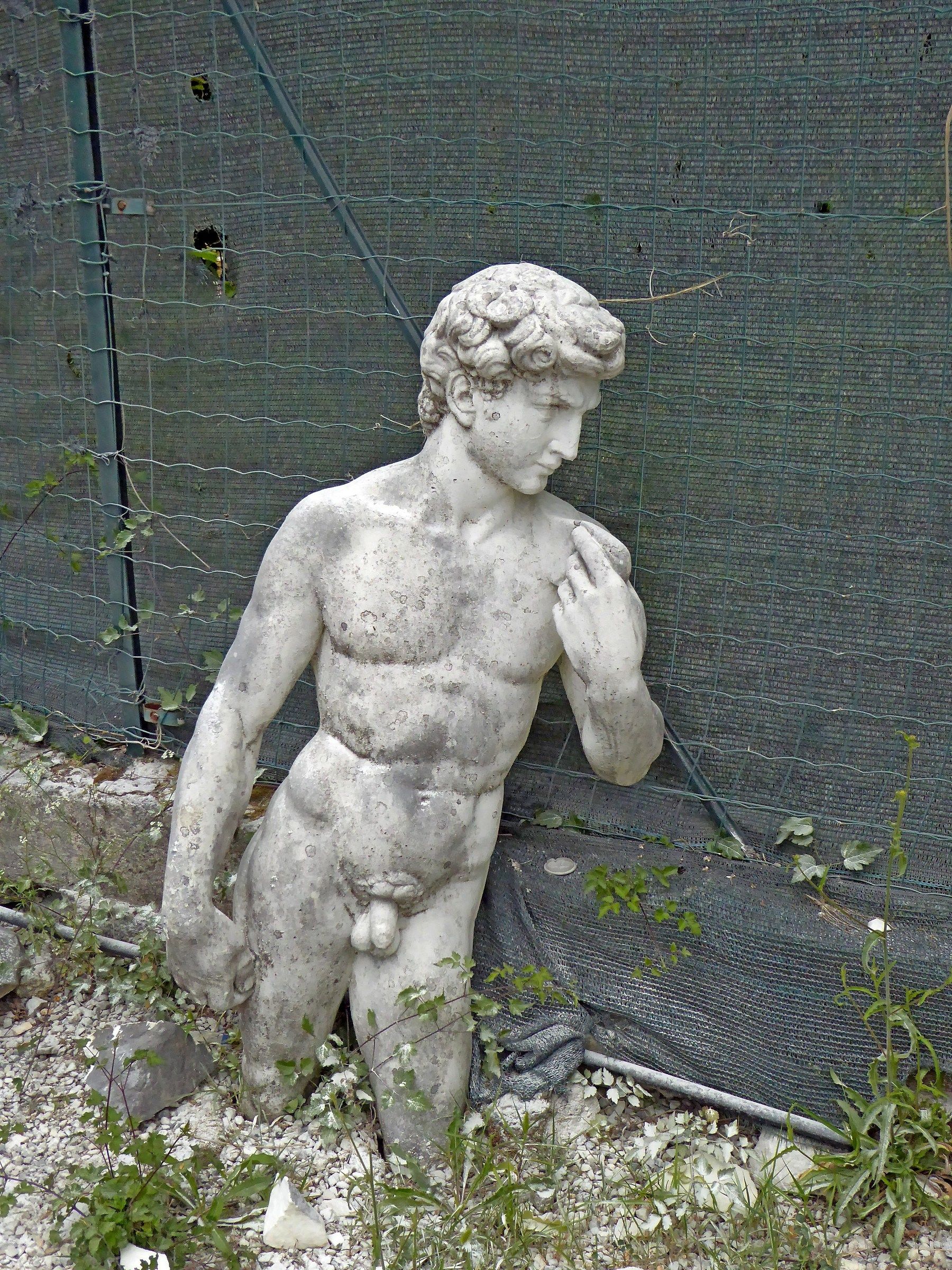 il David abbandonato