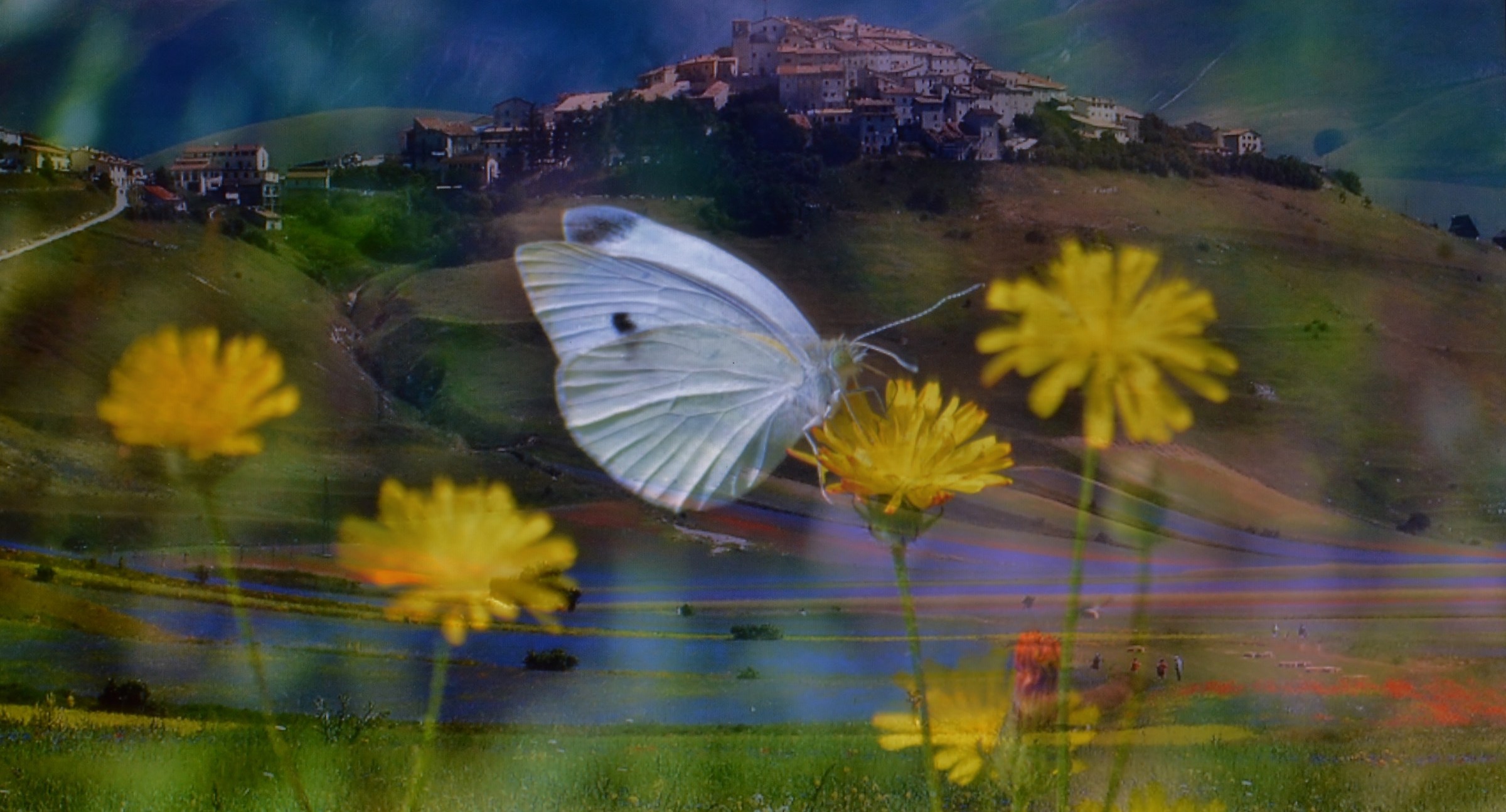 Castelluccio memories "fuzzy"
