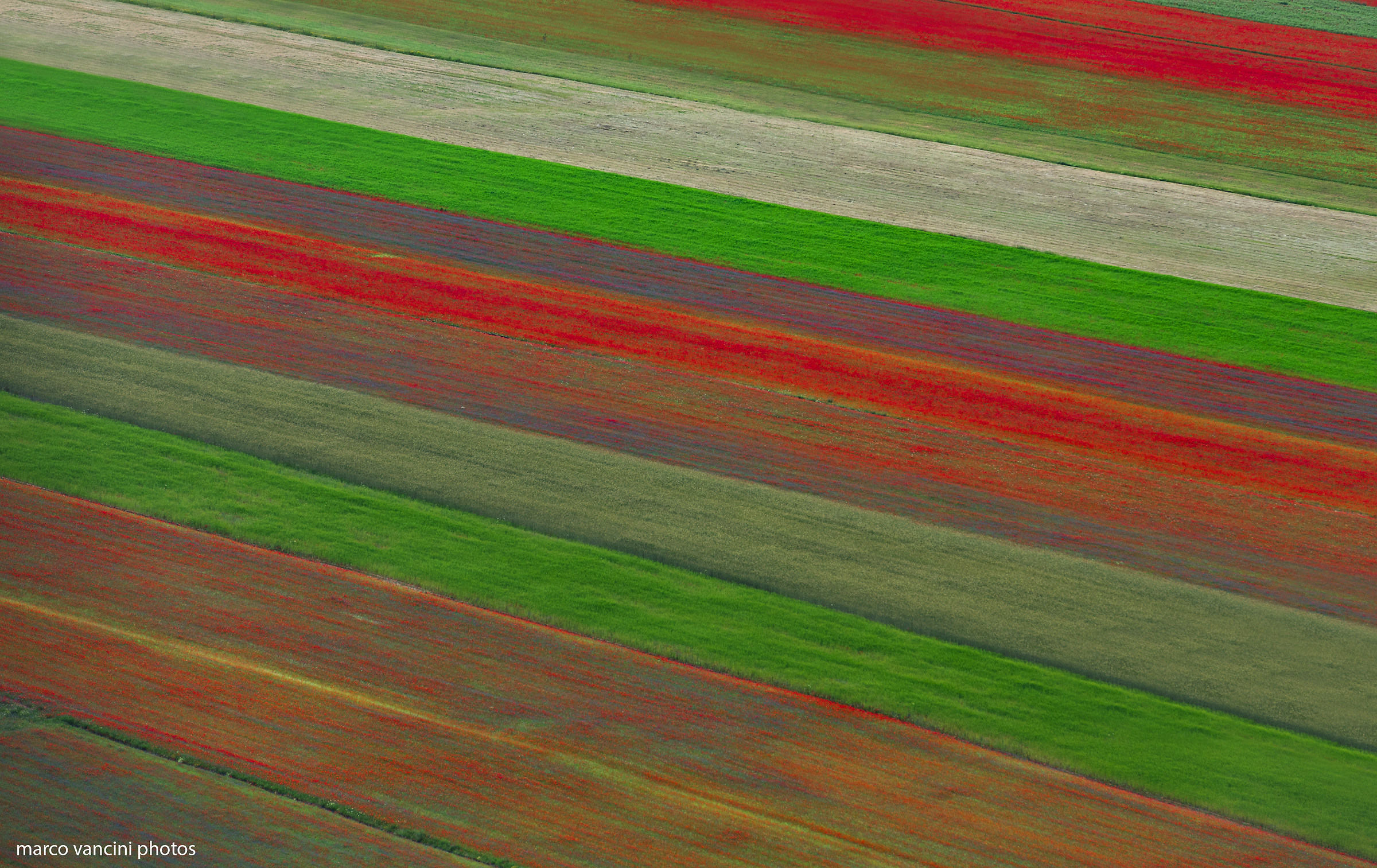 Agricoltura geometrica