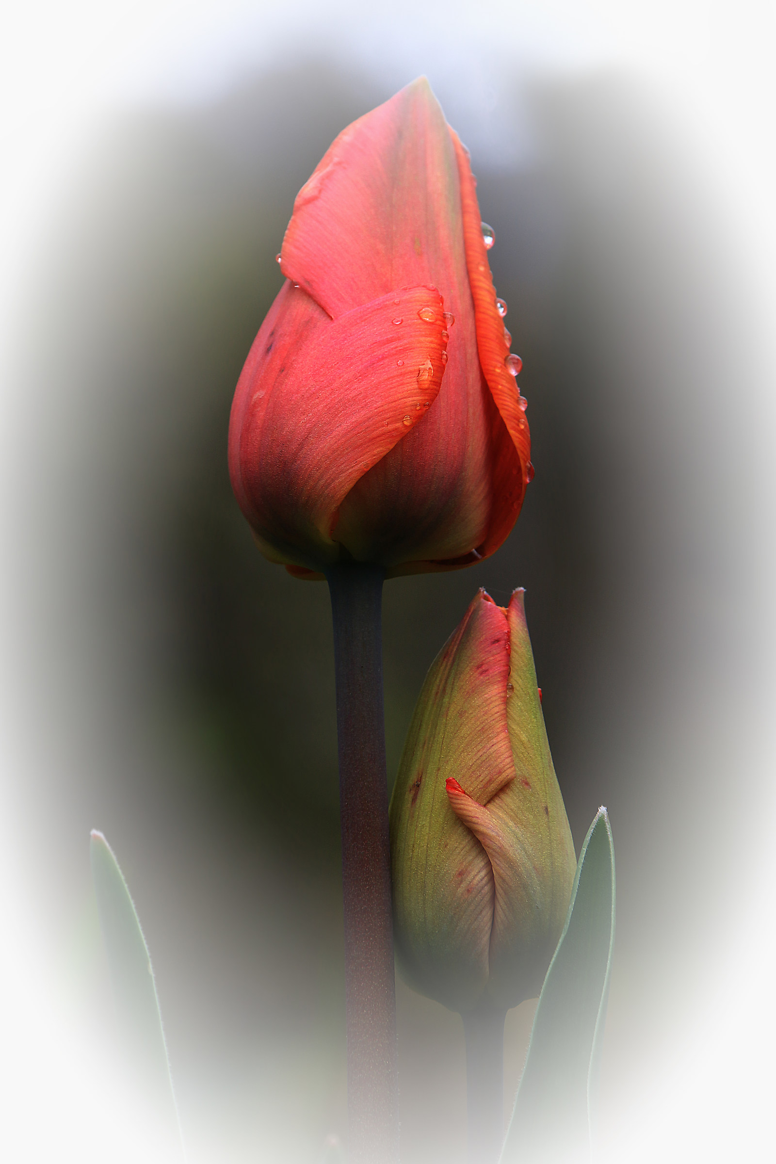 Bagnati dalla pioggia!