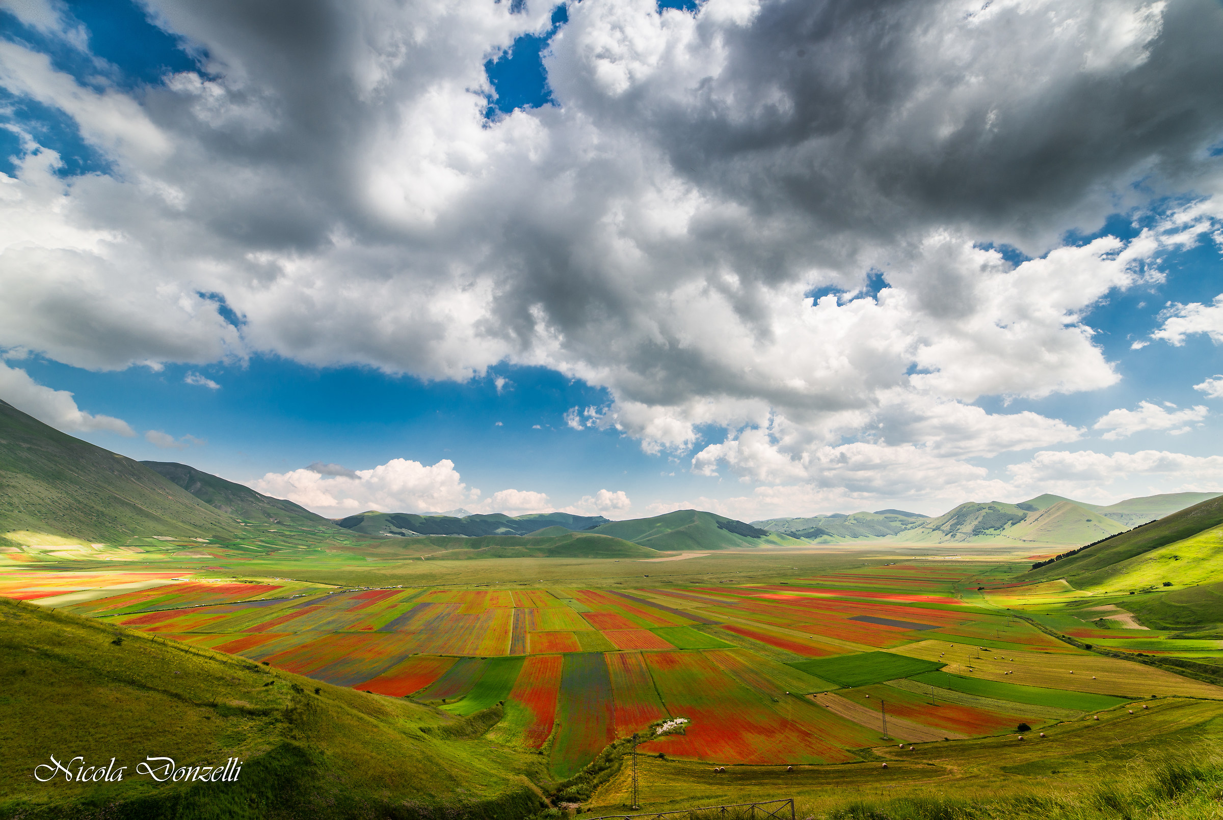 Fioritura Castelluccio