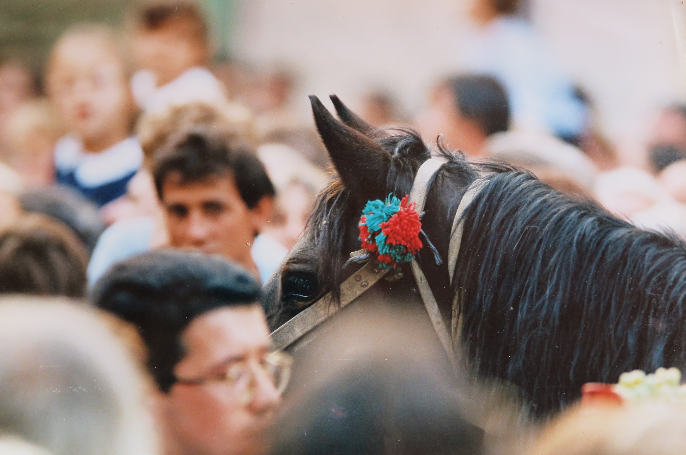 The highest intelligence.