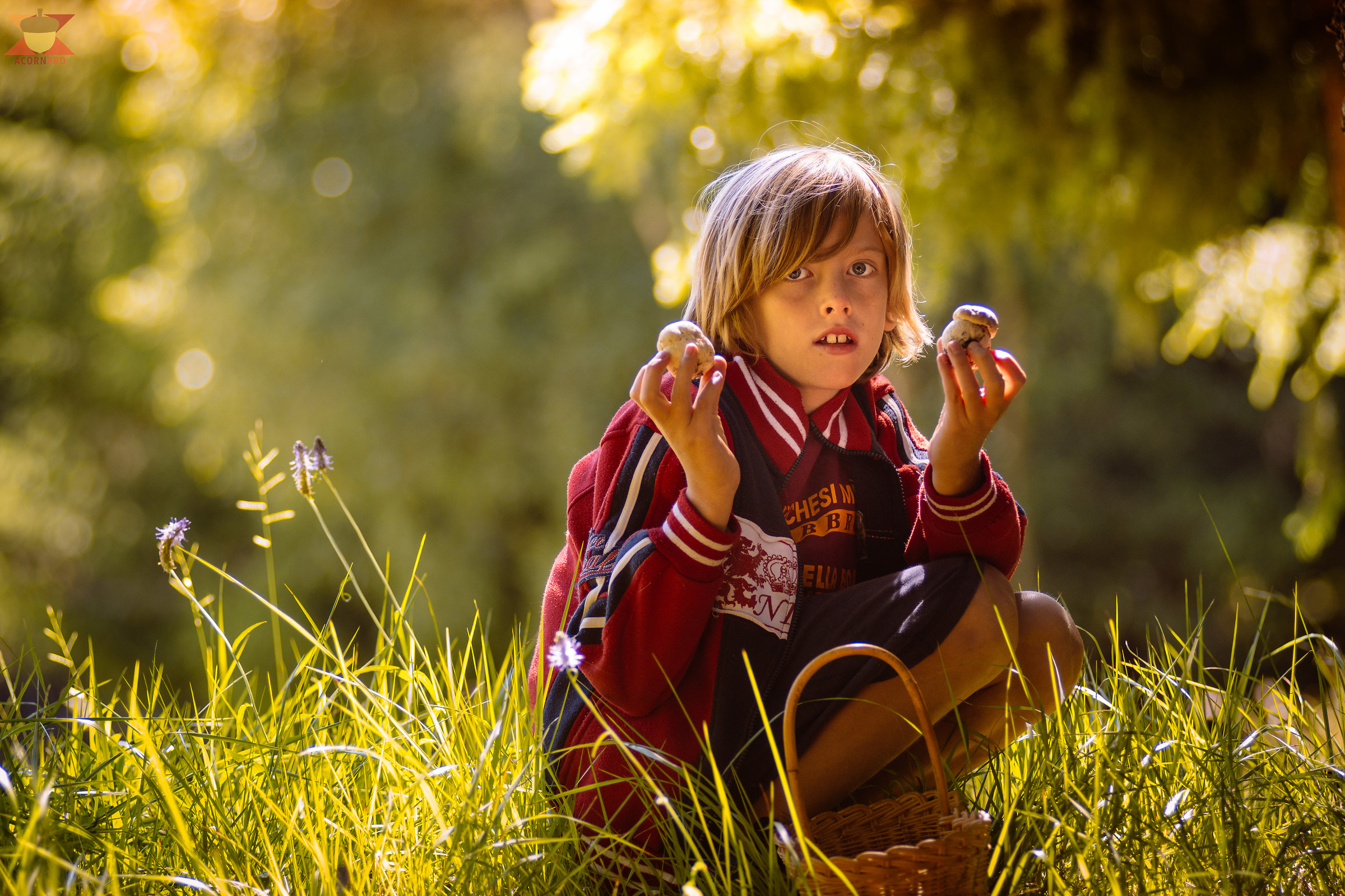 Trovati i primi funghi
