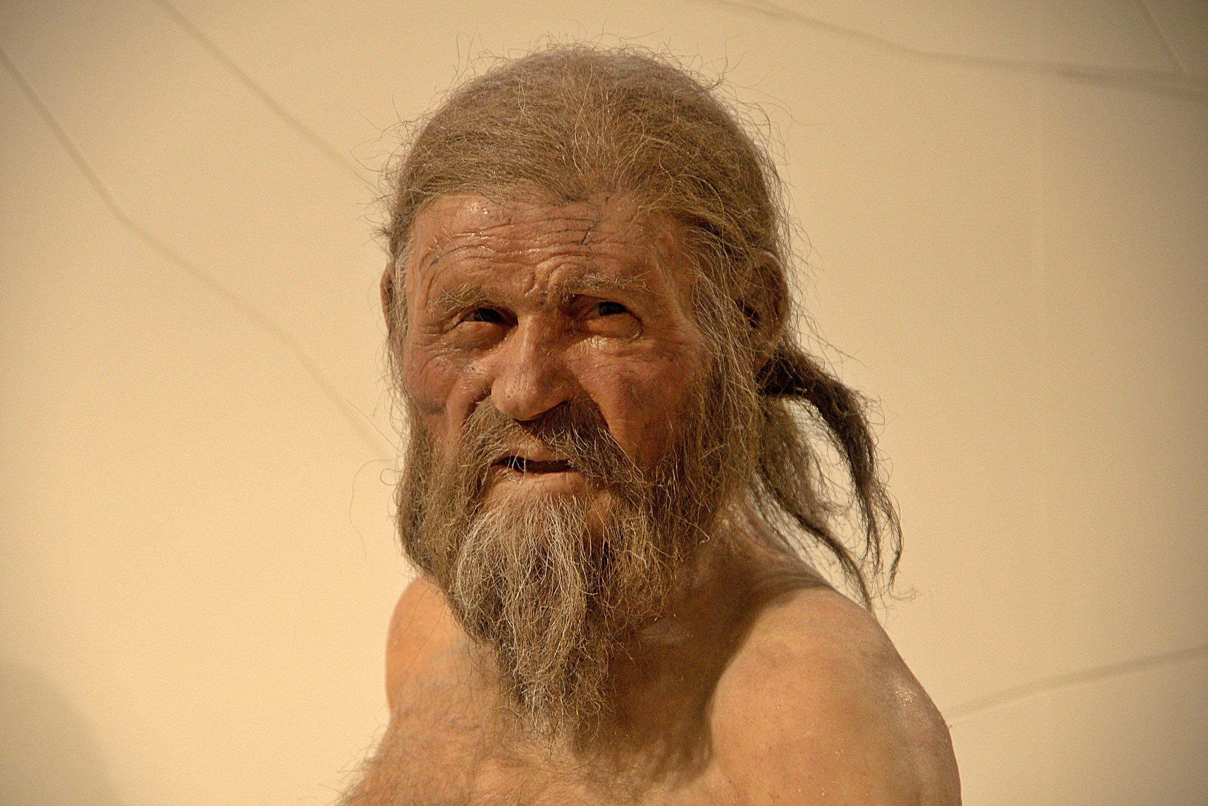 Otzi - il millenario del Similaum