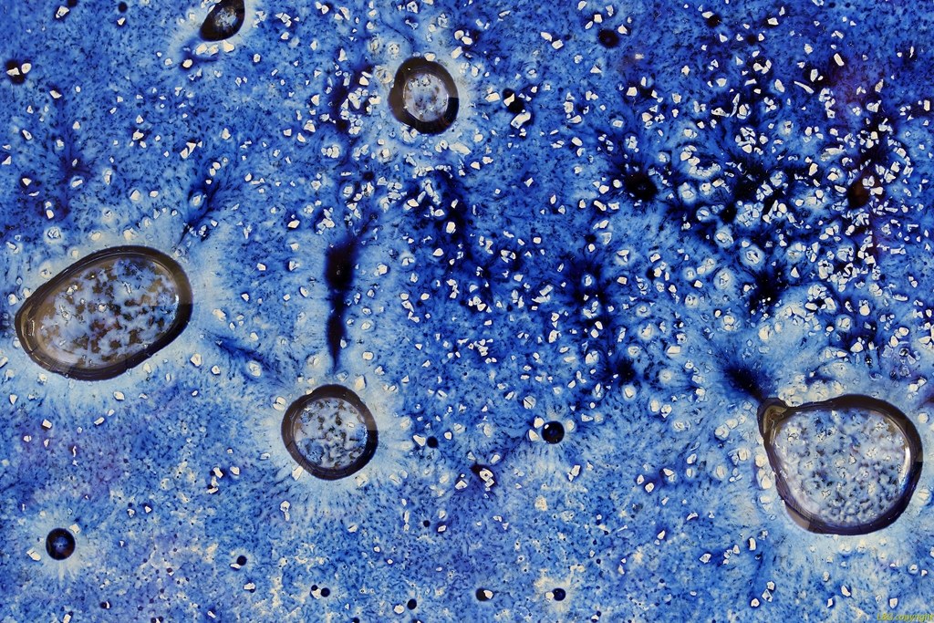 the universe in your pocket