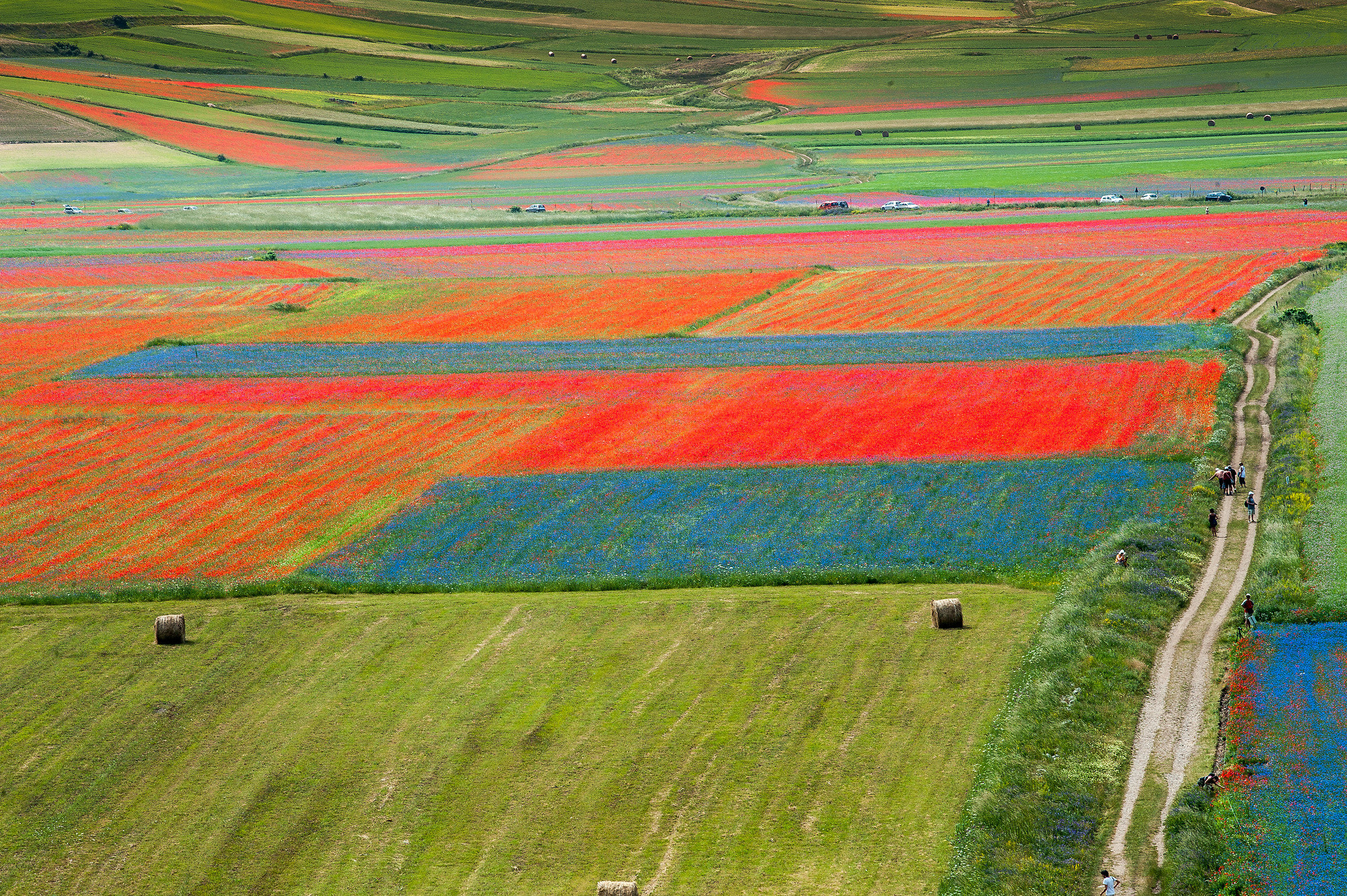 Castelluccio di Norcia (Pg)