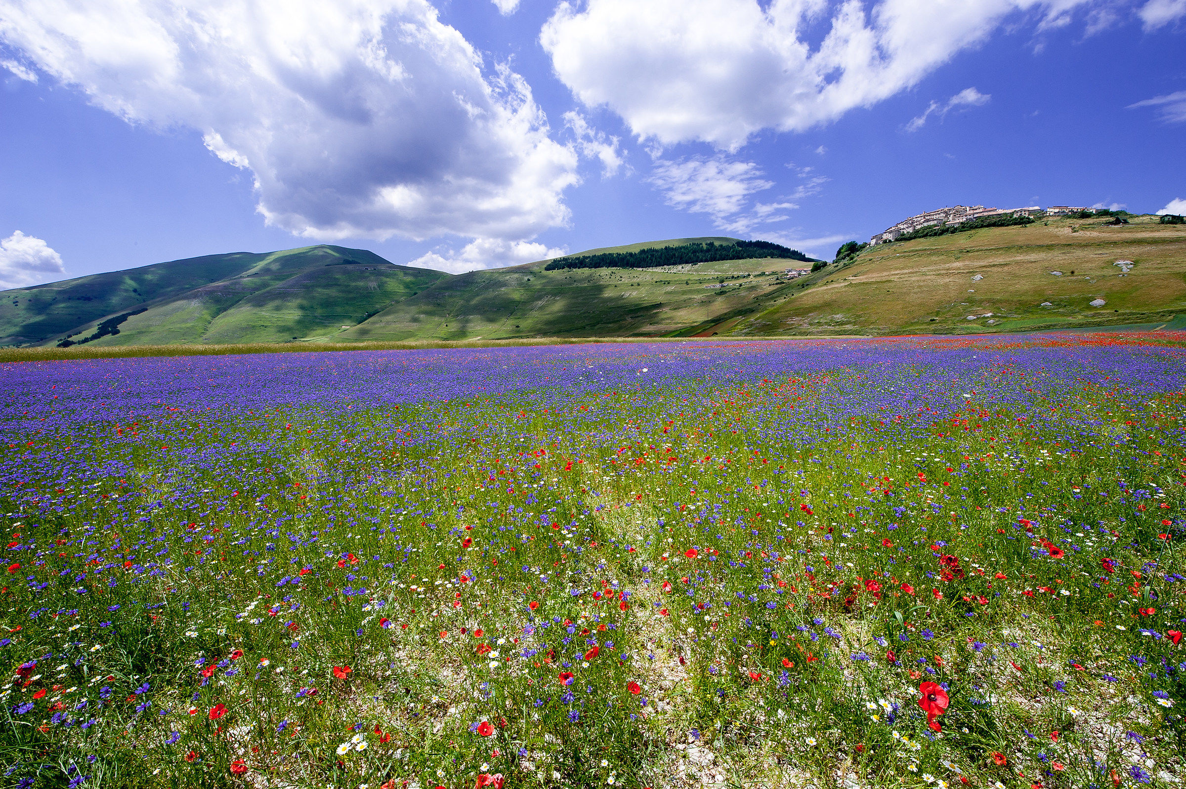 Castelluccio di Norcia (Pg)