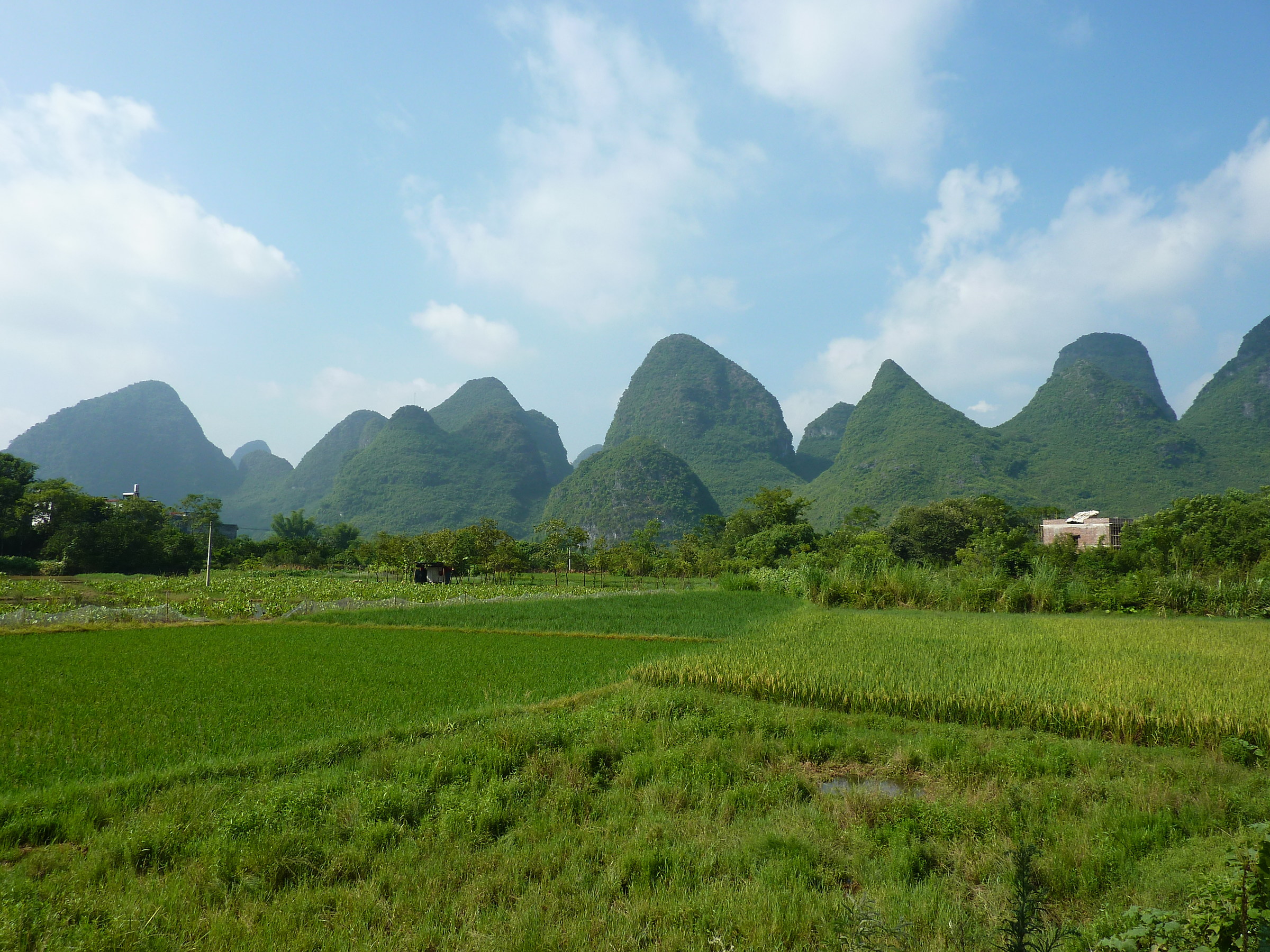 Li River