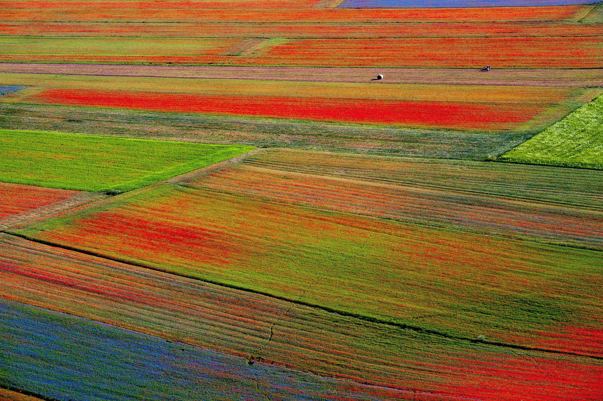 Castelluccio di Norcia (Pg)