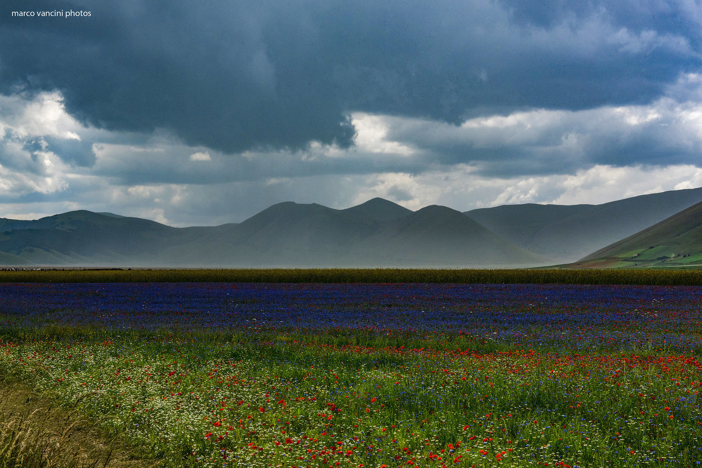 La pioggia che avanza