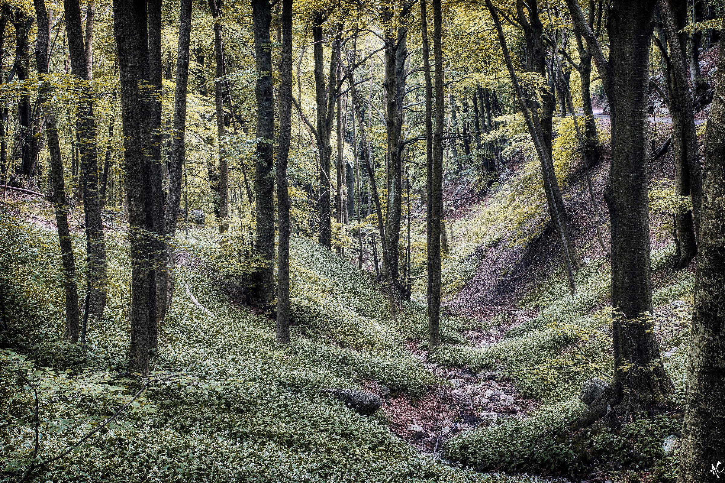 The lost art of solitude