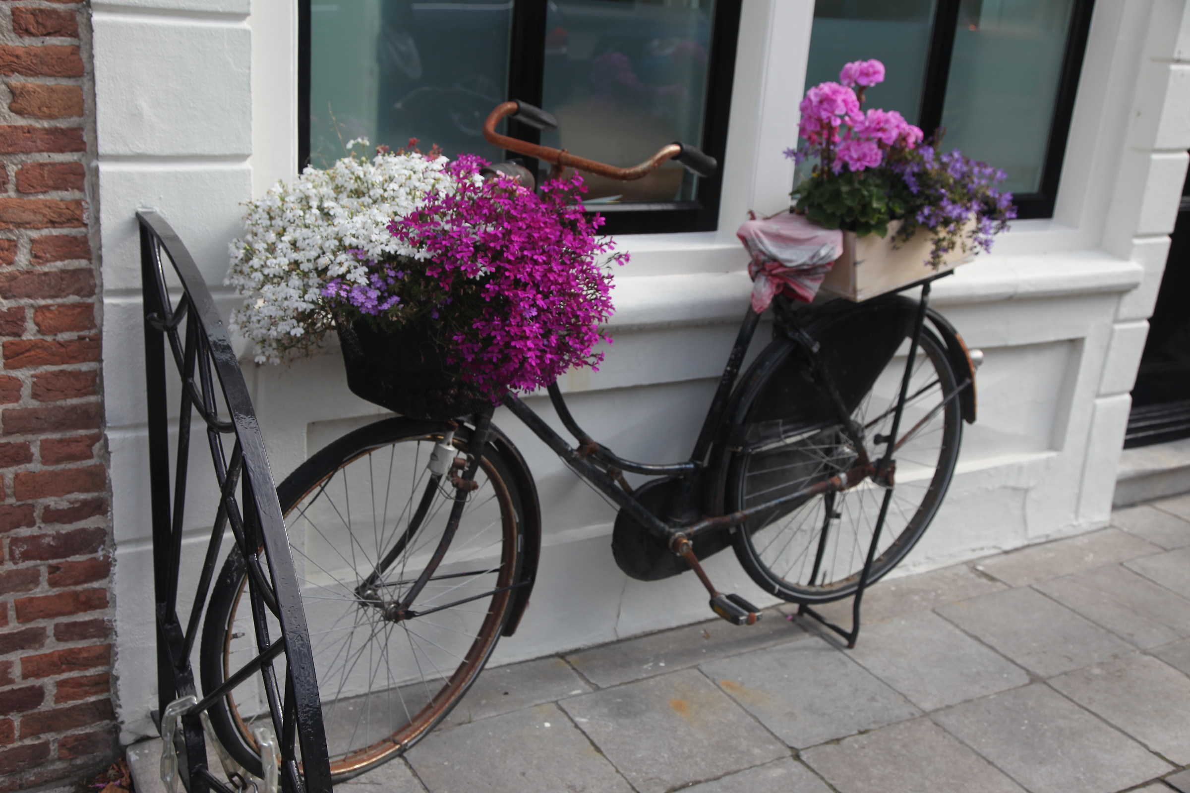 flowered bicycle