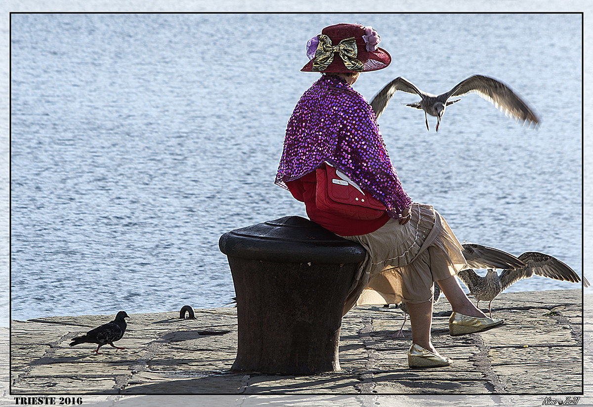 The lady of the Gulls