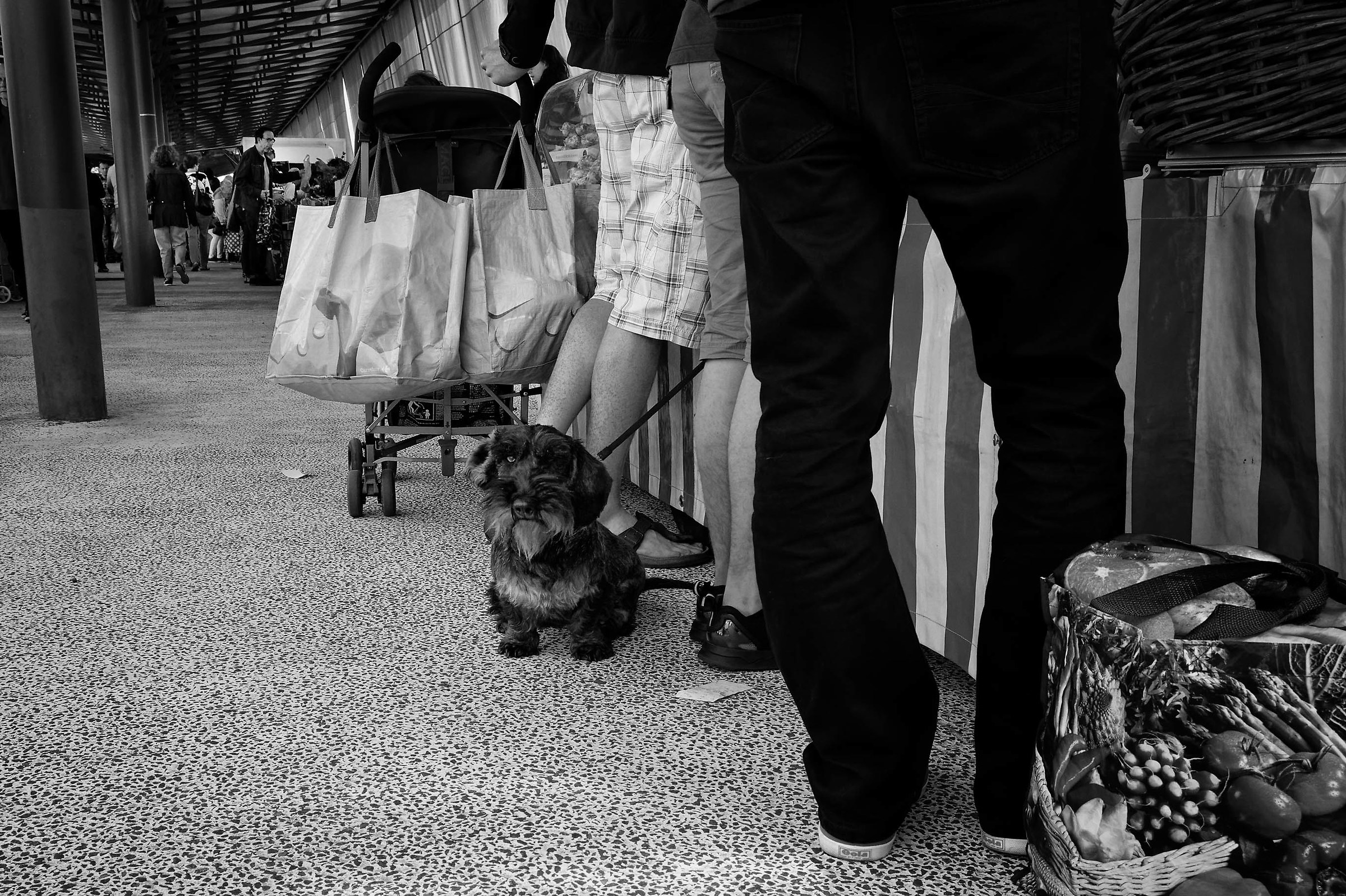 Sempre Orléans....(68)