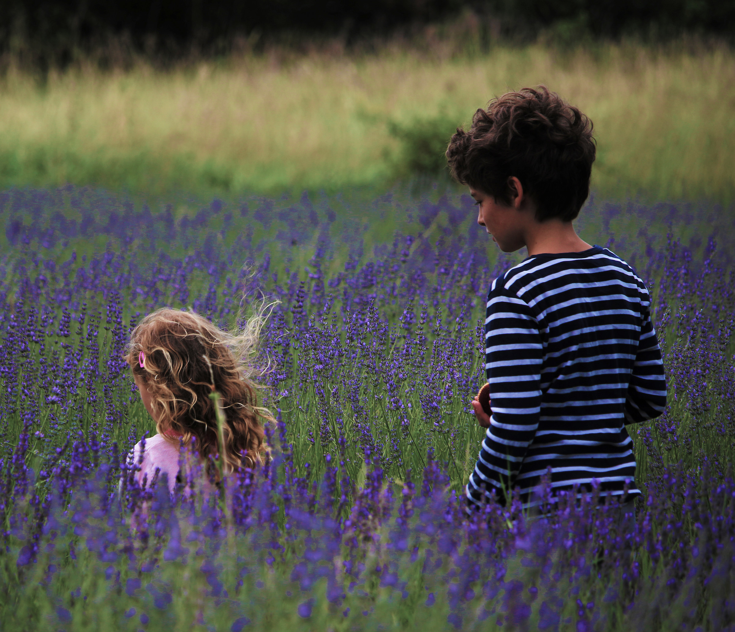 Ti seguo per proteggerti
