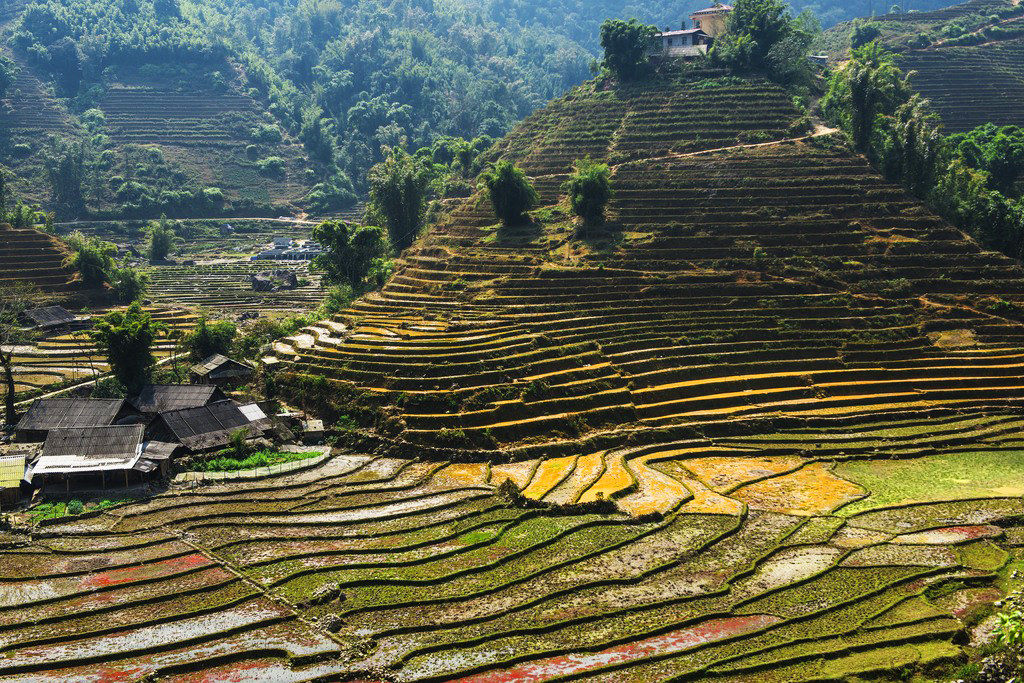 The colors of Sapa