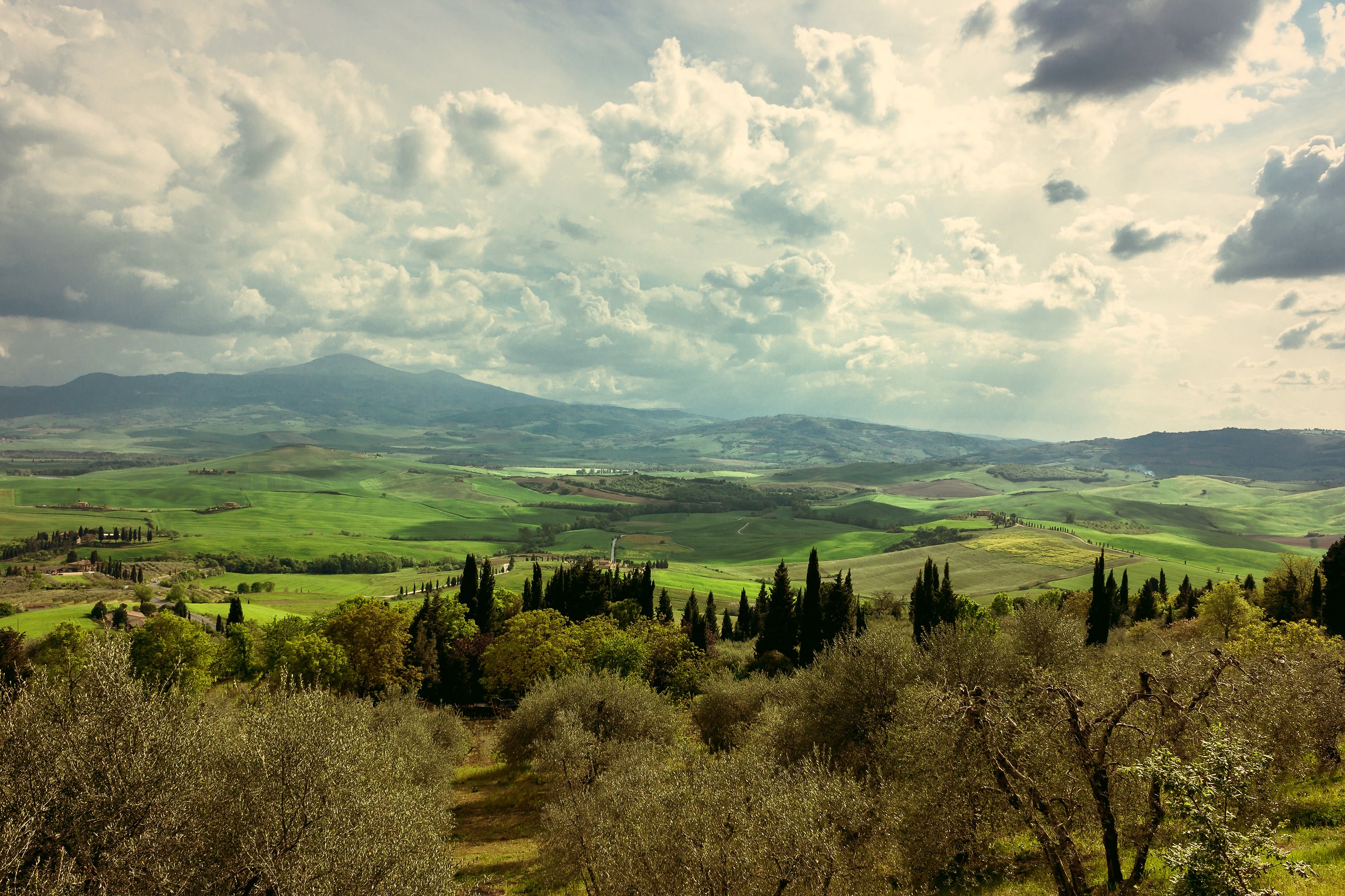 Val d'Orcia, Pienza (Tuscany)